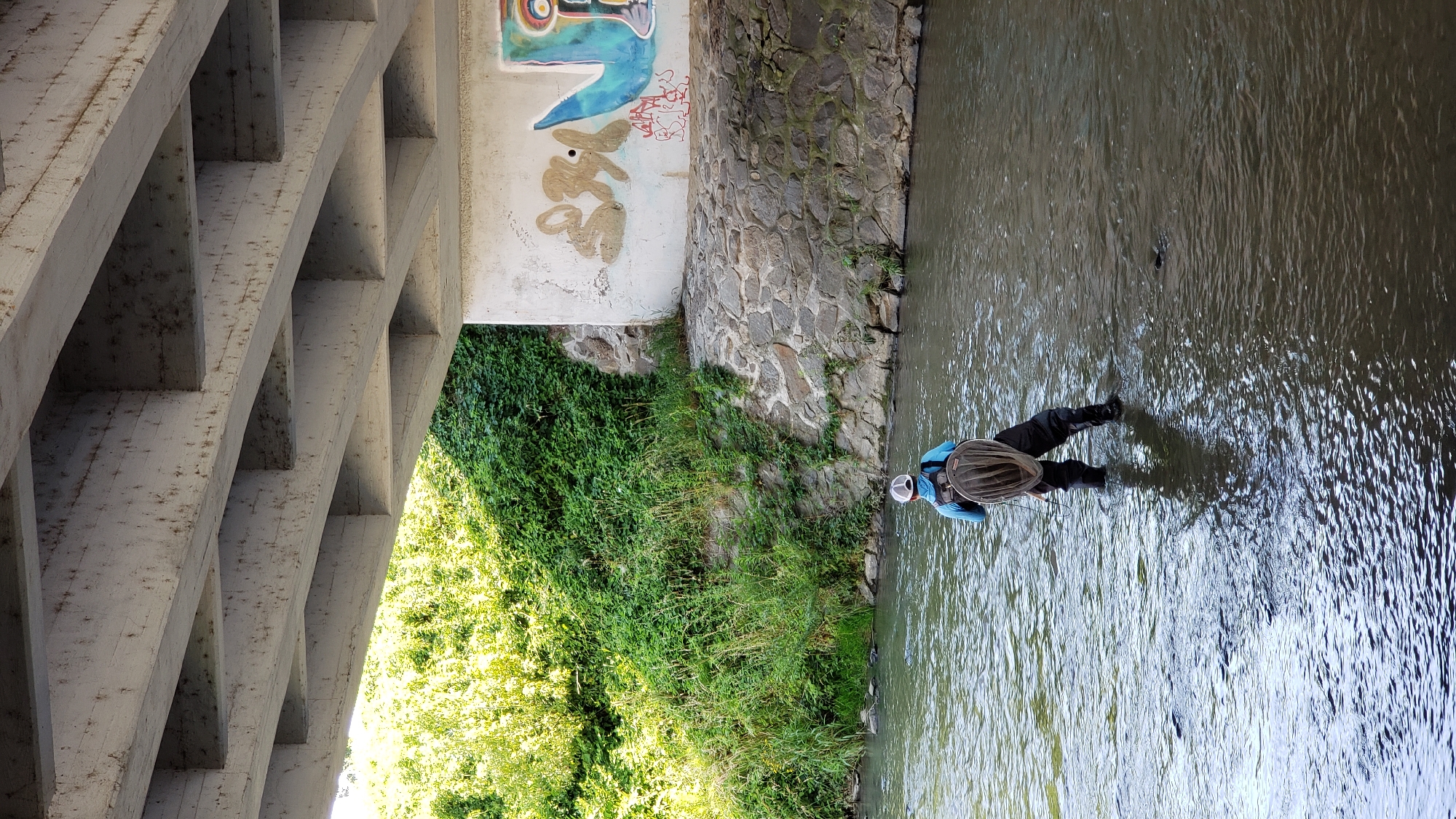 A person stands in a shallow, murky river under a concrete overpass. The individual is wearing waders, a light blue shirt, and a backpack. A fishing net is attached to the backpack, hanging down their back. The riverbank is lined with dense green foliage on the left and a stone wall with some graffiti on the right, which is beneath the overpass. The overpass has a distinctive criss-cross beam structure. The overall scene suggests an outdoor recreational activity in a semi-urban or suburban environment, likely Prešov, Slovakia, given the description of its concrete infrastructure and natural elements.