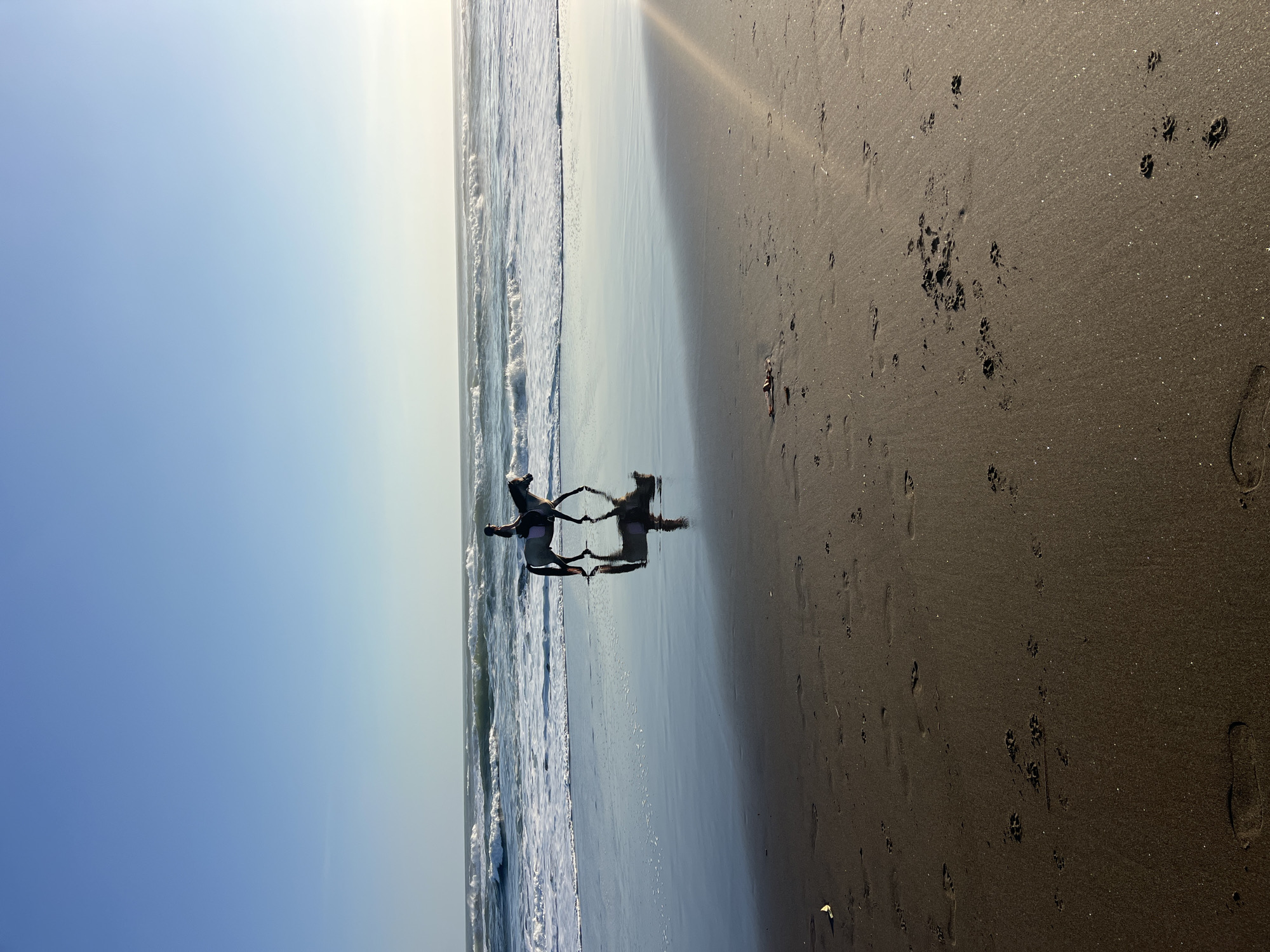 An Arabian horse and rider trot along a wet sandy beach adjacent to the ocean. The horse is light gray with a dark mane and tail. The rider, wearing a helmet, is positioned on the horse's back. The ocean is calm with gentle waves rolling in. The sky is a clear, bright blue, fading to a lighter shade near the horizon where the sun is setting. The wet sand reflects the sky and the horse and rider. Footprints are visible in the sand in the foreground. The image is captured during the golden hour, casting a warm light on the scene. This scene does not appear to be located in Kediri, Indonesia, as Kediri is an inland city and does not have a coastline.
