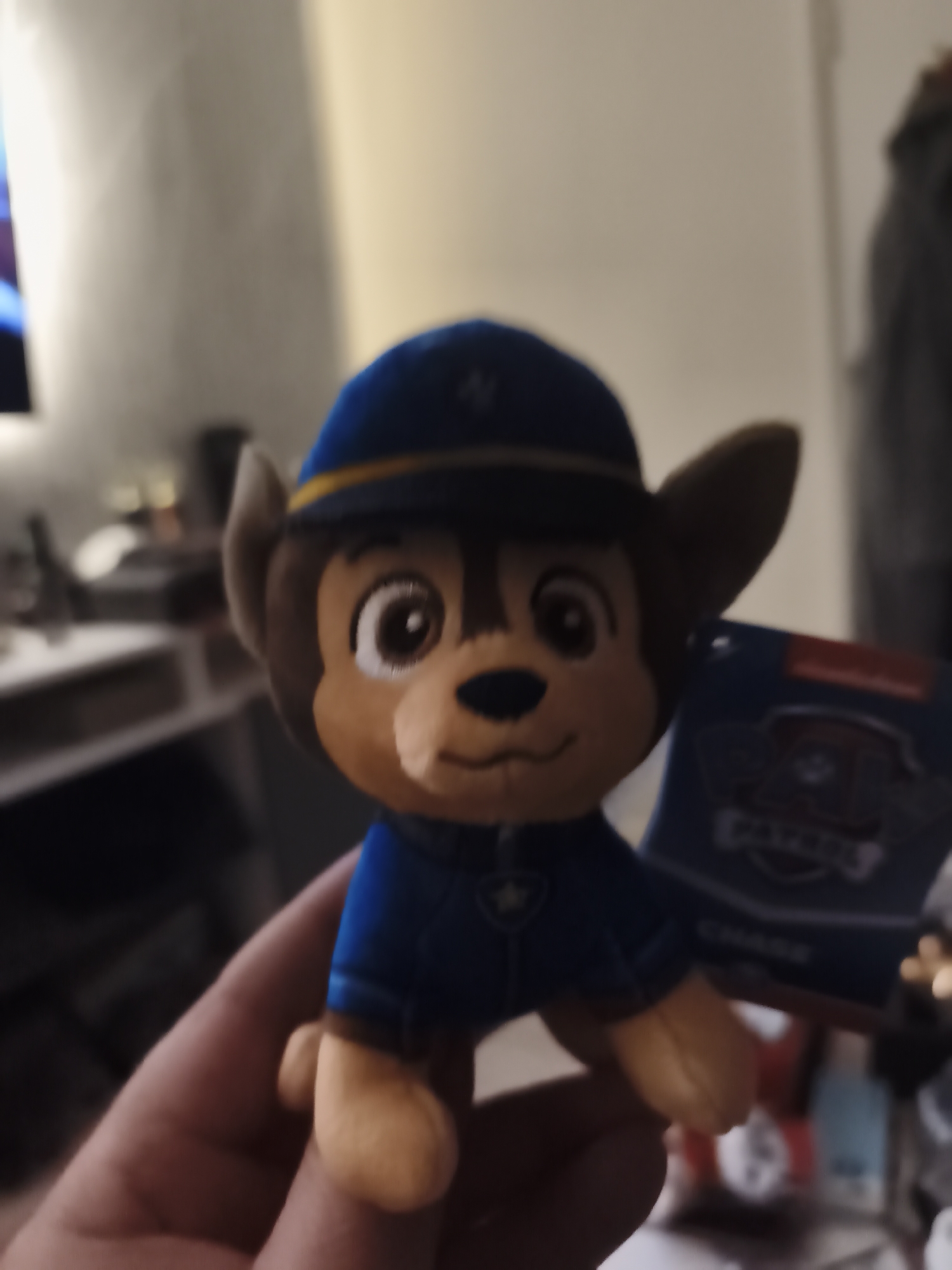 A slightly blurry, close-up indoor shot captures a small plush toy of Chase from Paw Patrol, held upright by a person's hand. The toy is positioned centrally, showcasing its brown fur, large brown eyes, and an embroidered smile. Chase is dressed in his blue police uniform, complete with a blue cap featuring a yellow band and a dark blue shirt with a light blue badge on the left side.
Attached to the toy's right side is a hang tag that clearly displays the "PAW PATROL" logo and the character's name, "CHASE." The background is softly out of focus, revealing elements of an indoor setting, likely a home. A light-colored wall is visible, along with some dark, indistinct furniture or shelving. A luminous source, possibly a television, emits light from the far left of the frame. The lighting suggests the image was taken under artificial light, likely in the evening or at night. The hand holding the toy is visible in the lower part of the image. No specific visual cues link the scene to Huntingdonshire, United Kingdom.