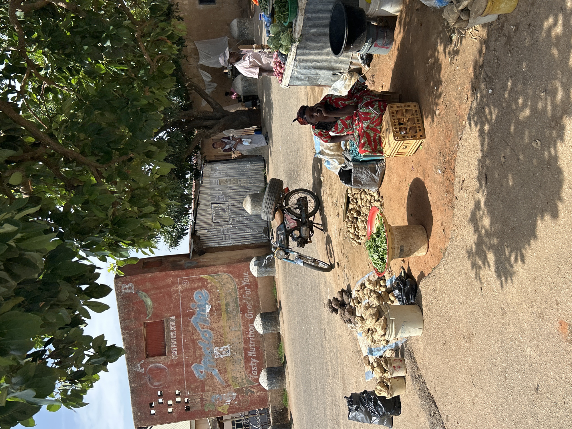 This image depicts an outdoor market scene in Jos, Nigeria, likely in the morning or afternoon given the bright sunlight and distinct shadows. The foreground is dominated by a tree on the left, its branches laden with green leaves, casting dappled shadows on the ground.
The central focus of the image is a market stall where a woman, wearing a red and green patterned dress and a headscarf, is seated on a basket. She appears to be interacting with customers or waiting for them. Beside her, on the ground, are piles of produce, possibly root vegetables like yams or potatoes, displayed in baskets and buckets. A red bowl filled with leafy green vegetables is also visible.
Behind the stall, a motorcycle is parked, suggesting a mode of transport for vendors or customers. Further back, there are other market stalls with more produce, including onions and cabbages. Several people are visible in the background, engaged in market activities. One person in a light-colored garment is standing behind a stall, and another individual is partially visible.
To the left of the market, a weathered building with a red facade is prominent. It features faded graffiti and text, including what appears to be a logo and the words "COGIN PRIVATE SCHOOL" and "Tasty Nutrition Good For You." This building likely serves as a landmark or part of the market's infrastructure. The overall setting suggests a bustling, everyday market environment in a Nigerian town. The weather appears to be sunny and warm.