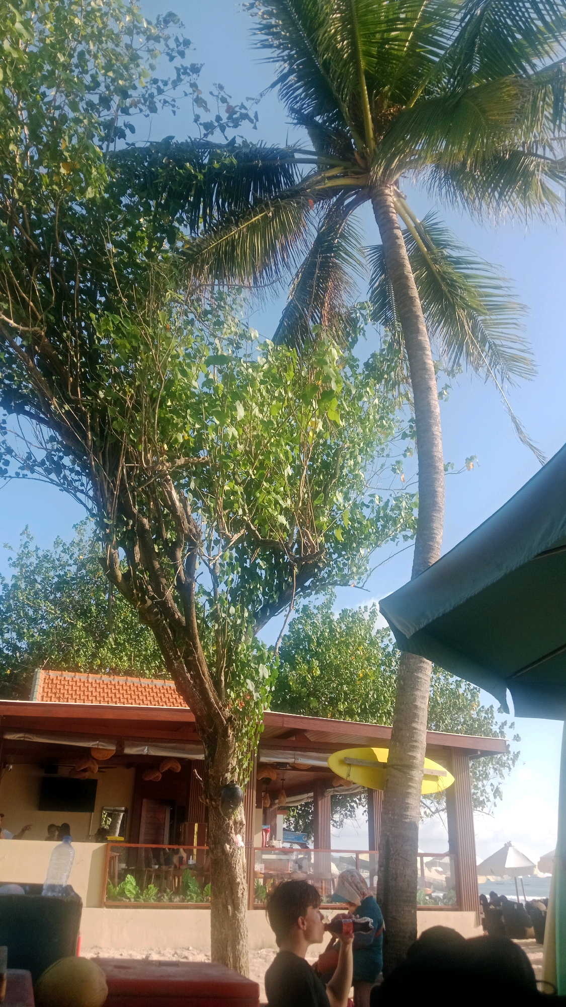 The image depicts a scene near a beachfront establishment in Kuta, Indonesia. A young person in the foreground is drinking from a bottle. Behind them, a tropical building with a terracotta tiled roof features an open-air seating area, with tables and chairs visible. A yellow surfboard is propped against a palm tree. Lush green trees and a tall palm tree dominate the upper portion of the image, with a clear blue sky above. Several people are visible in the background, some seated at tables and others walking. The ground appears to be sandy, suggesting a beachside location.