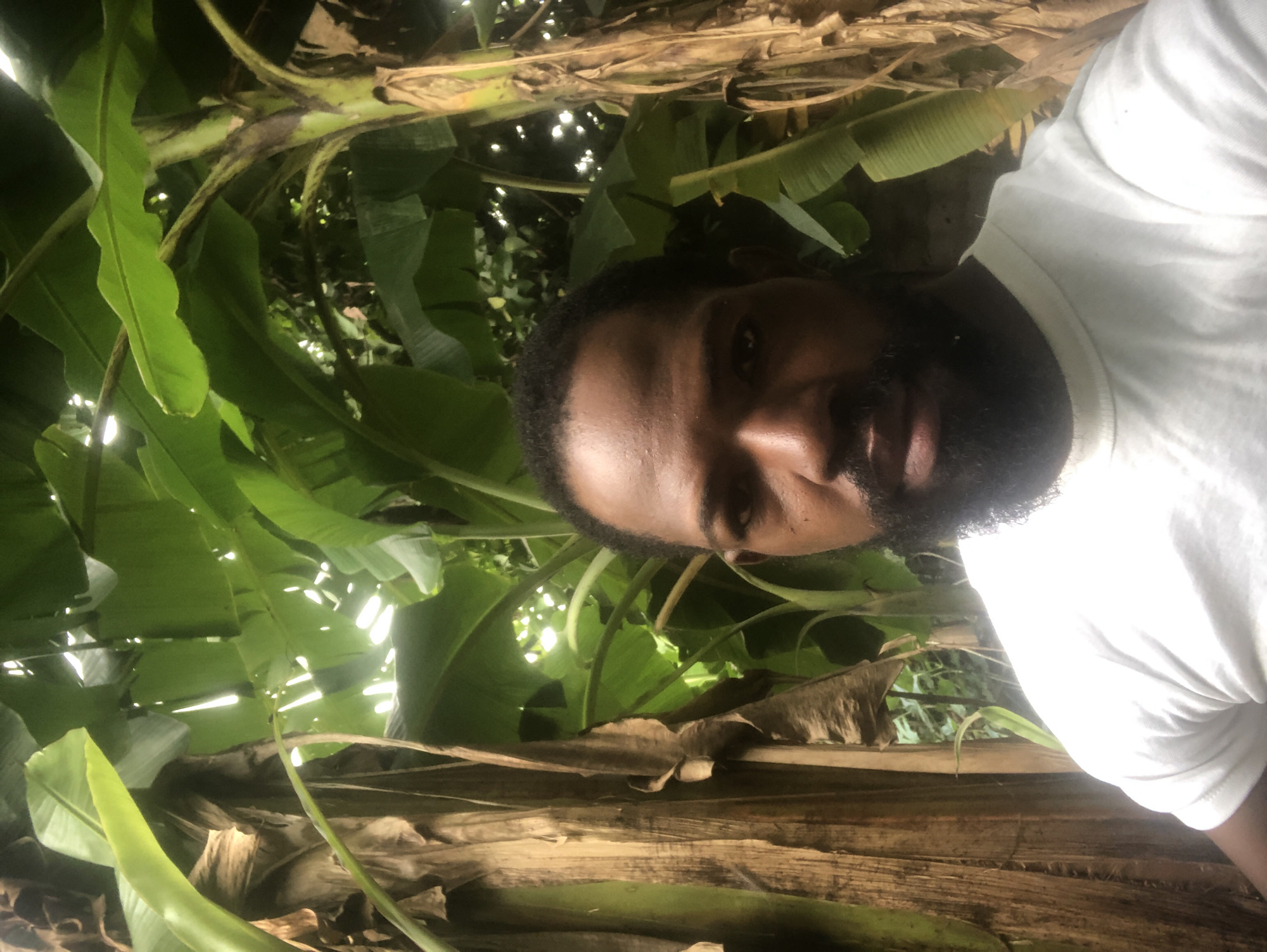 A man with a beard, wearing a white t-shirt, is pictured in a natural setting with large green leaves and tall, textured brown trunks. The lighting suggests an outdoor environment, possibly a garden or a densely vegetated area. The background is filled with lush foliage, indicating a tropical or subtropical climate. The man is looking towards the camera, and his expression is neutral. The scene appears to be a candid photograph, likely taken during daylight hours given the brightness of the light filtering through the leaves. The location is identified as Lagos, Nigeria.