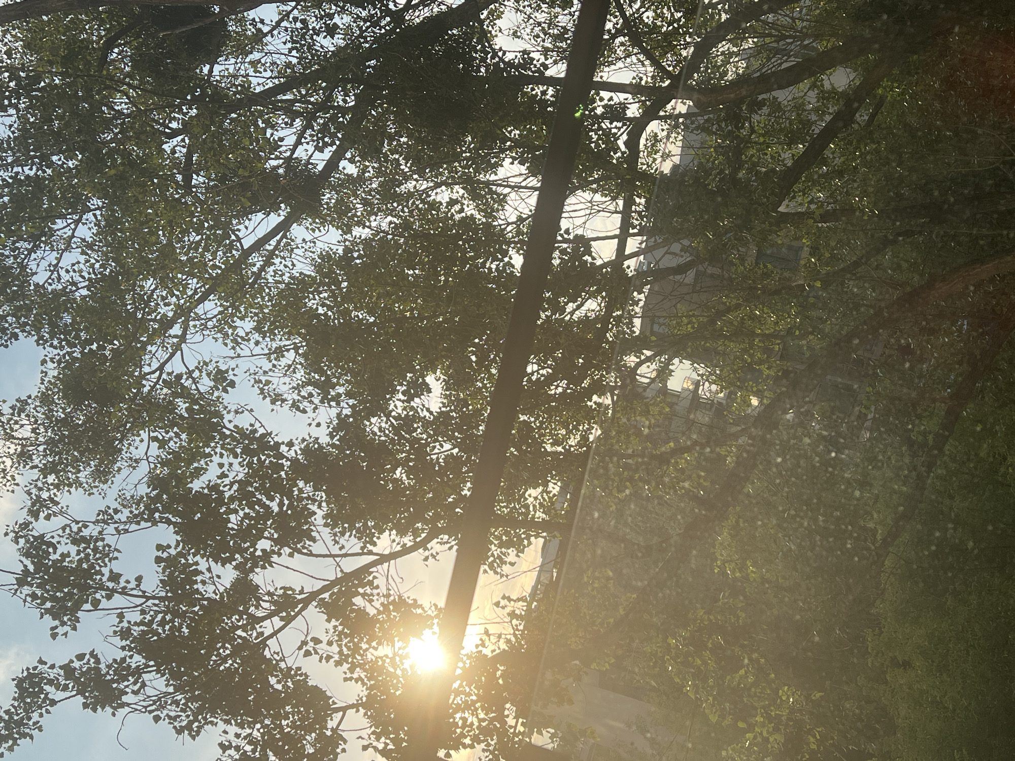 An outdoor, upward-angled shot captures the sunbeams shining through the leaves of trees against a bright sky. The sun is positioned in the upper left quadrant of the frame, emitting strong rays of light that create a lens flare effect. The leaves are predominantly green, with some areas appearing silhouetted against the light. A dark, horizontal bar cuts across the middle of the image, partially obscuring the view of the trees and the sky. In the background, through the foliage, a modern building with multiple windows is visible. The overall lighting suggests it is daytime, likely late afternoon due to the warm glow of the sun. No people or animals are present in the image. The scene appears to be in an urban environment, possibly a park or a street lined with trees, given the presence of the building. The image does not provide specific landmarks to pinpoint the exact location within Warsaw, Poland.