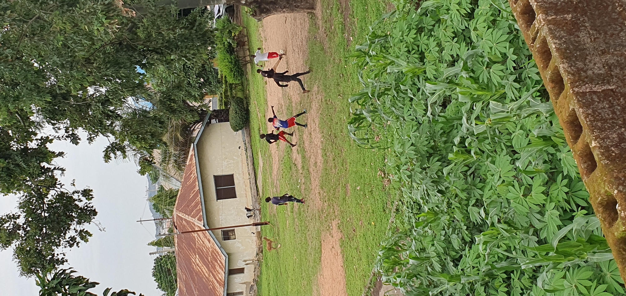 The media file captures an outdoor scene in Anguldi, Nigeria, likely during daylight hours given the bright illumination and shadows. The setting appears to be a grassy field adjacent to a building with a rusted tin roof. A cluster of lush green plants, possibly cassava, occupies the right side of the frame.
Several individuals, appearing to be young people, are engaged in what looks like a game of soccer or a similar activity. One person is dressed in white and red, another in black, and a third in blue and red. Their postures suggest movement and interaction within the game. In the foreground, near the building, two dogs are visible, one appearing to be a light brown color.
The building is light-colored with dark-framed windows and a simple, functional design. The overall atmosphere seems casual and active, with the subjects focused on their game. No discernible text is present in the image. The time of day is likely afternoon, given the angle of the shadows cast by the people. The weather appears to be clear and warm. The presence of the building, the vegetation, and the casual attire of the individuals all contribute to the context of a residential or community area in Nigeria.
