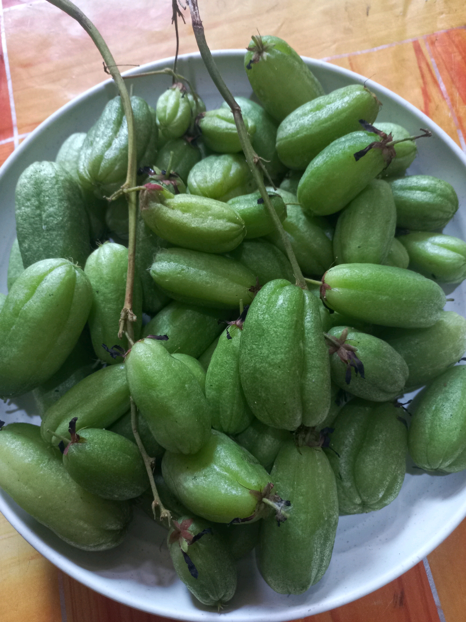 A close-up, overhead shot shows a white ceramic bowl overflowing with ripe, green bilimbi fruits. The fruits are elongated and slightly curved, with faint ridges running lengthwise. They are clustered together, with some resting on top of others. Thin, dried stems extend from some of the fruits, and a few darker, petal-like remnants are visible at the stem end of others. The bowl is placed on a surface with a tiled pattern, featuring shades of orange and brown. The lighting is natural and diffused, highlighting the waxy texture of the fruit. The scene is likely located in Bondo, Indonesia, given the prevalence of bilimbi fruit in the region.