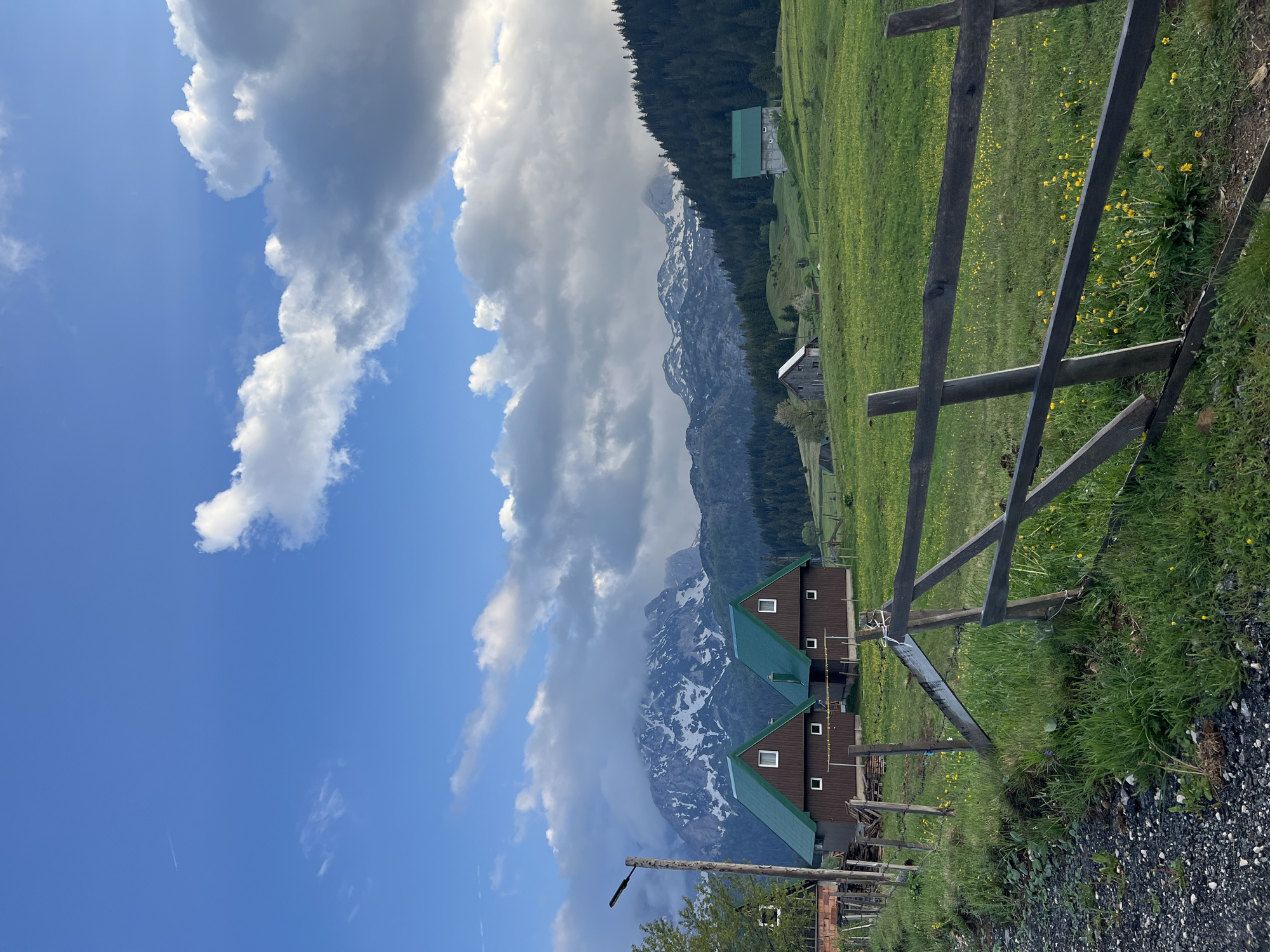 The image shows a rural landscape in Bosača, Montenegro, featuring a mountain range partially obscured by clouds. A cluster of wooden buildings with green roofs is situated in a grassy field dotted with yellow wildflowers. A weathered wooden fence runs along the foreground, dividing the field from a gravel path. The sky is blue with scattered cumulus clouds.