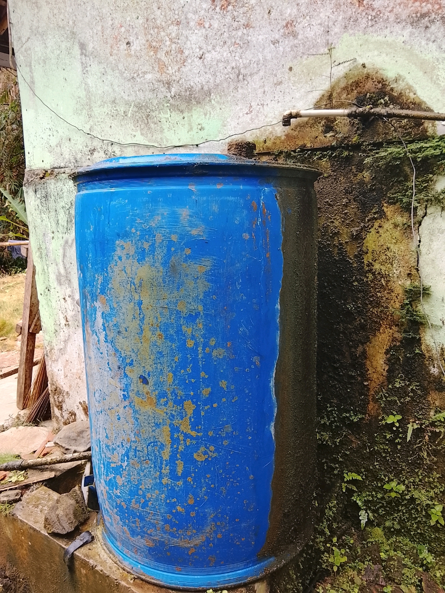 In Kertahayu, Indonesia, a blue, weathered plastic water barrel stands beside a textured, grimy wall. The barrel is marked with rust-colored splotches and scuffs, suggesting prolonged outdoor exposure. A narrow pipe, also dirty and possibly rusted, runs horizontally across the wall above the barrel, with a visible connection point. The wall itself is discolored with streaks of dark grime and patches of green moss and small plants clinging to its surface. The ground in front of the barrel is concrete, wet and with some debris including rocks and what appears to be discarded wood. The overall scene conveys a sense of an aged, functional outdoor area, likely in a rural or less maintained urban setting.