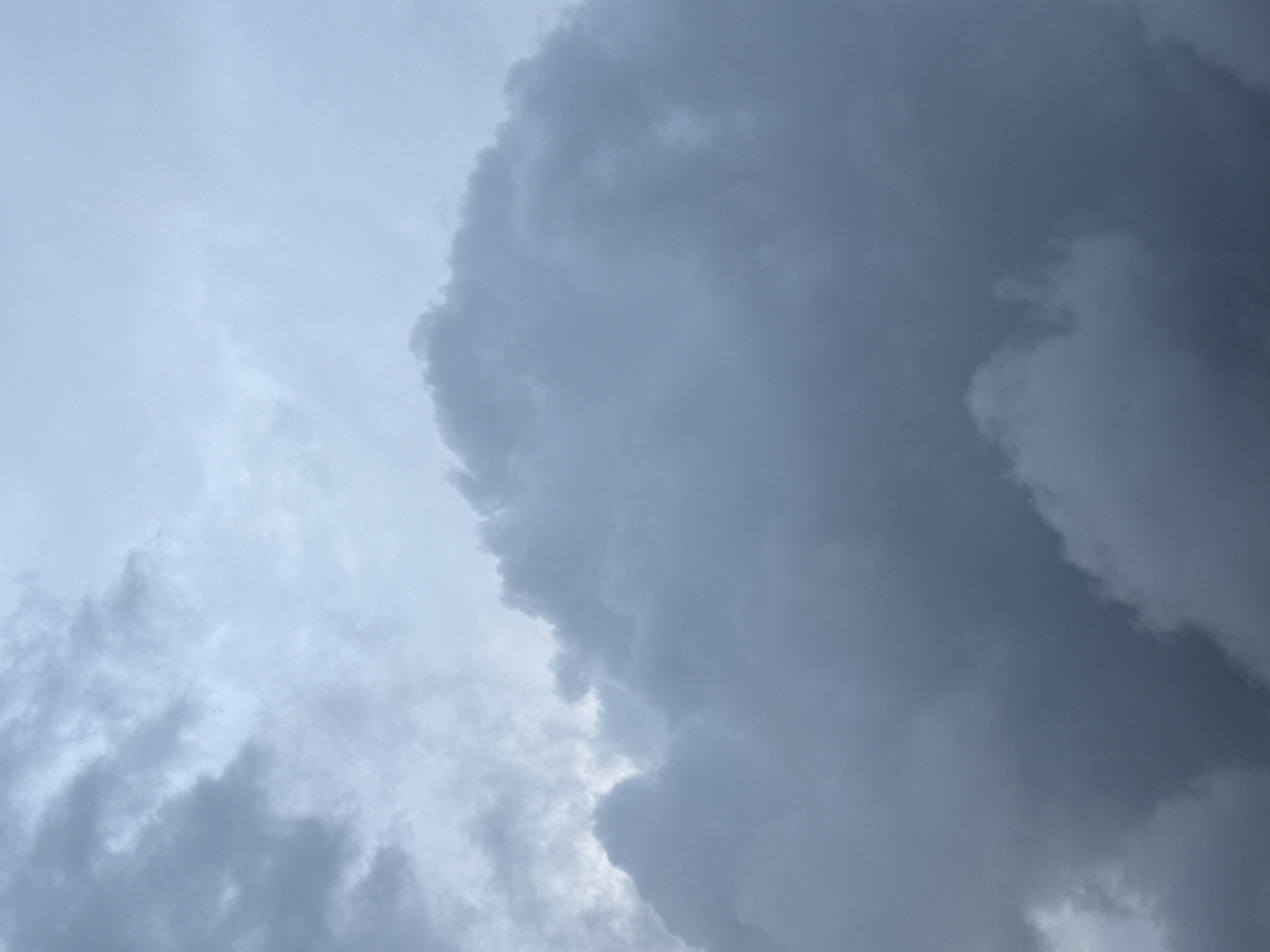 The image presents a striking view of an overcast sky, filled predominantly with dense, grey clouds. The scene is devoid of any human presence, man-made objects, or discernible landscape features, focusing entirely on the atmospheric conditions.
The sky is characterized by a dynamic interplay of cloud densities and shades. The upper left quadrant features lighter, more diffused grey clouds, appearing less formidable and somewhat luminous, possibly indicating a break in the heavier cloud cover or higher-altitude clouds. Moving towards the center and right, the clouds become significantly darker, thicker, and more textured, forming a substantial, tumultuous mass. These dark, ominous clouds suggest a heavy moisture content and the potential for rain or a storm. The contrast between the lighter and darker clouds creates depth and a sense of movement in the sky.
The overall impression conveyed is one of a moody, weather-laden day. The heavy cloud cover obscures the sun, suggesting a dim daylight, possibly late afternoon or an intensely cloudy mid-day. There are no specific location cues within the image itself. However, the provided context indicates the location is Da Lat, Vietnam. The image captures the raw, majestic power of nature, emphasizing the sky as a vast and ever-changing canvas. No text is visible in the image.