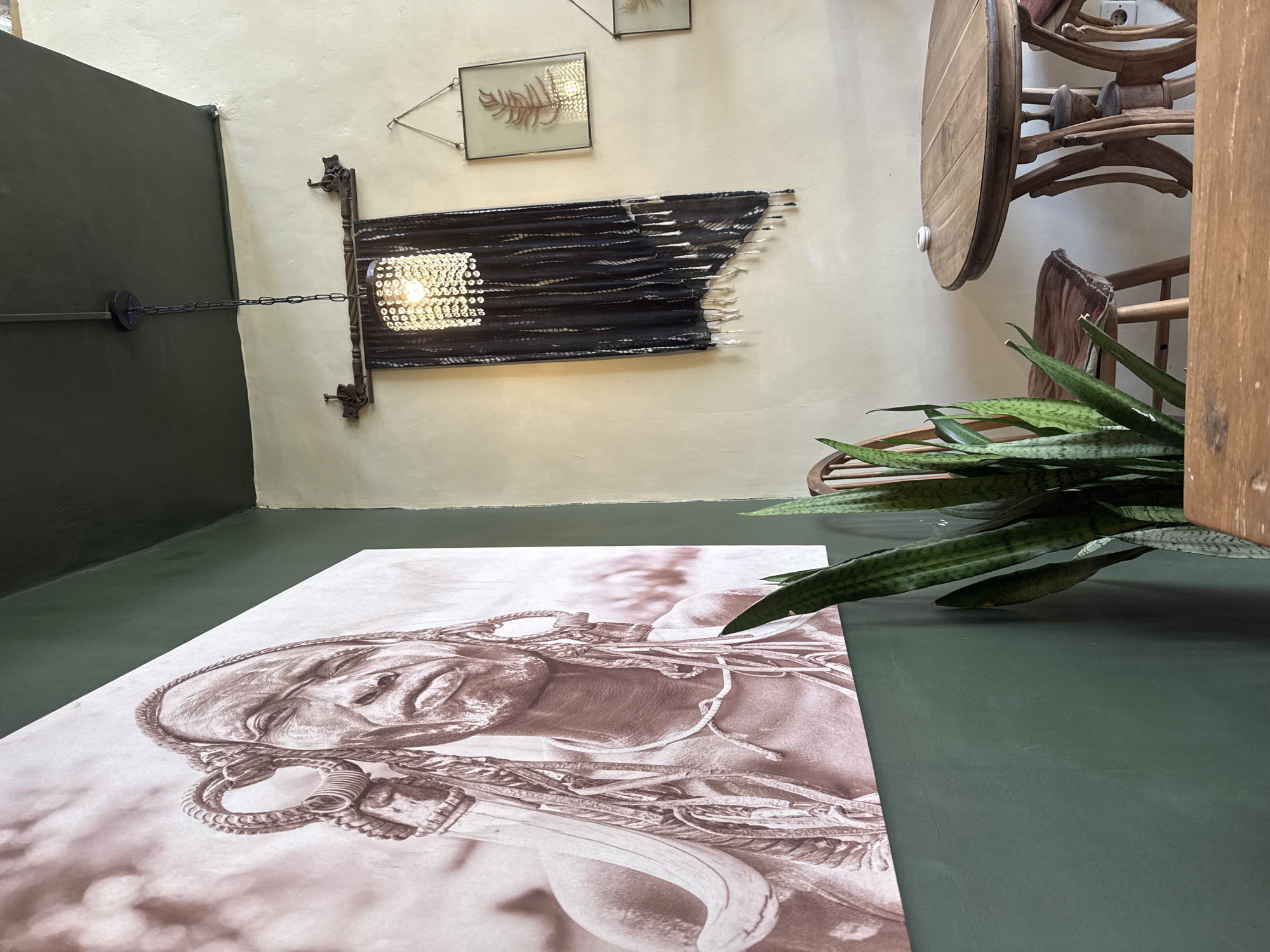 A photograph taken indoors shows a large print of a human portrait on the floor, a snake plant in a pot, and a wall with hanging decorations. The floor is a dark green, and the print, lying flat on the floor, features a close-up of a person’s face and upper body, styled in sepia tones. The snake plant’s green leaves extend across the floor towards the portrait. The wall behind the plant and print is a pale cream color. Decorations on the wall include a framed piece of foliage, a black fabric wall hanging with light-reflecting embellishments, and part of a wooden table and chairs. A dark green door is visible on the left, with a chain leading from it to the wall hanging. The location is in the city of Unknown, Unknown.