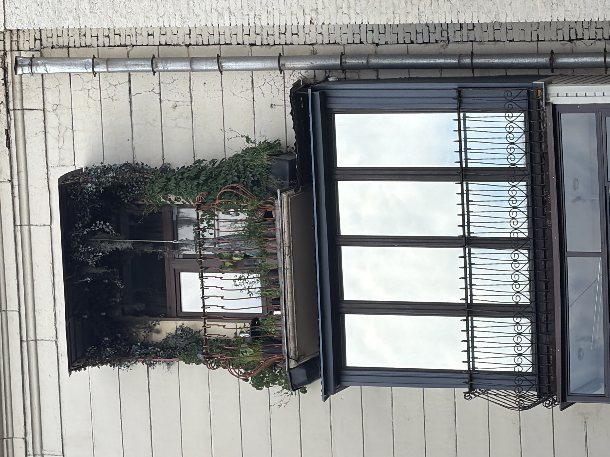 The image shows a close-up, top-down view of a building facade in Moscow, Russia. The facade is made of light-colored vertical panels and topped with a decorative brick cornice. A silver metal pipe runs horizontally across the upper part of the frame, attached to the wall by clamps. Below the pipe, a dark-framed window occupies the right side of the image. This window has three panes, with decorative black metal grilles in front of the left two. The window reflects a cloudy sky. To the left of this window is a recessed opening, possibly a window or balcony, filled with lush green plants. Some of the plants trail over the edge of the opening, and decorative copper-colored metalwork is visible among the greenery. The recessed area appears dark, with hints of what might be furniture or decorative elements within. The overall impression is one of an urban building with a touch of natural embellishment on one of its openings. The lighting suggests it is daytime, likely overcast due to the sky's reflection. No people or specific activities are visible.