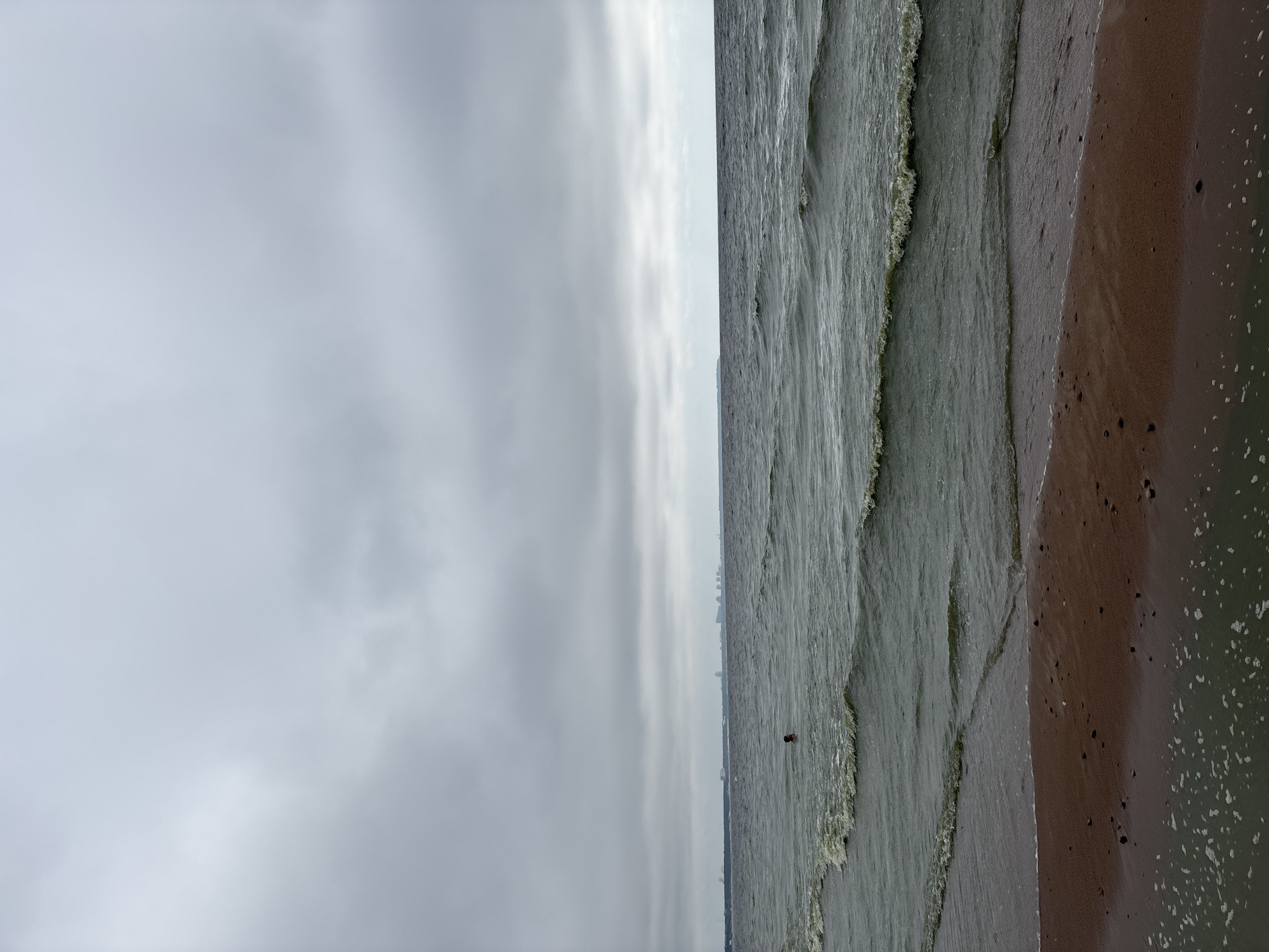 This is a media file showing a wide shot of a beach scene. The image is oriented vertically. On the left, a vast, overcast sky dominates the frame, filled with soft, diffused clouds. The right side of the image displays the ocean meeting the shore. Gentle waves are breaking onto a sandy beach, leaving a wet, darker sand line where the water recedes. Small white foam bubbles are visible on the wet sand. The water itself is a muted greenish-grey color, with the texture of ripples and small waves. In the distance, a faint line of what appears to be a cityscape or buildings can be seen along the horizon. There is a single, small dark figure, likely a person, in the water, appearing to be swimming or wading. The overall impression is one of a calm, possibly cool, day at the beach, with overcast weather typical of a northern climate. The location is suggested to be Solnechnoye, Russia, which aligns with the appearance of a Baltic Sea coast. No text is visible in the image.