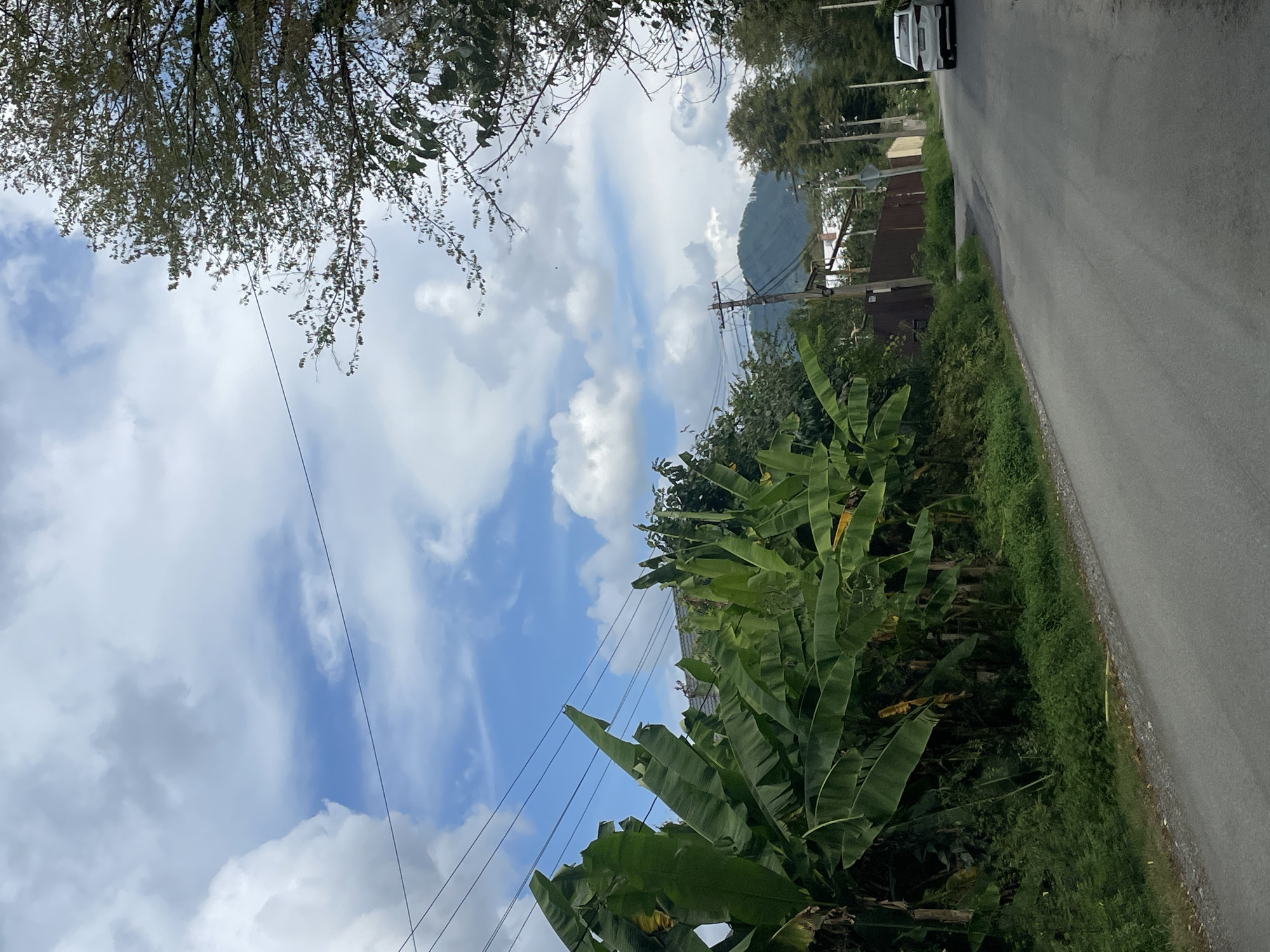 The image shows a view of a road in Plastunka, Russia. In the foreground, there is an asphalt road with a gravel shoulder on the left. A dense cluster of banana plants and other green foliage lines the left side of the road. Several power lines are visible stretching across the sky. In the distance, there are houses and a brown fence. Further back, a white car is driving on the road. The background features a lush green mountain range under a sky with scattered white and gray clouds.