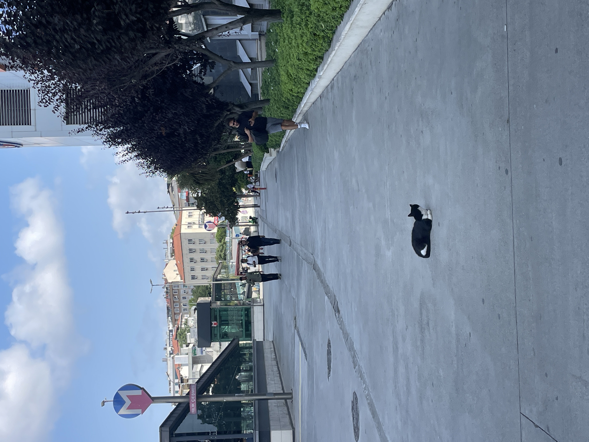 In Kadıköy, Turkey, a black and white cat is lying on a paved walkway in front of a modern building. The cat is facing left and its tail is curled around its body. The walkway is wide and made of concrete with faint lines indicating sections. In the background, there are several people walking. To the left, there is a metro station entrance with a blue and red "M" logo. Further in the background, there are residential and commercial buildings. To the right, there is a row of dark-leaved trees and a manicured green hedge. The sky is blue with some scattered clouds. A man in a black t-shirt and grey shorts is walking away from the camera towards the right side of the frame, looking at his phone. Three men are walking together towards the left side of the frame in the middle distance.