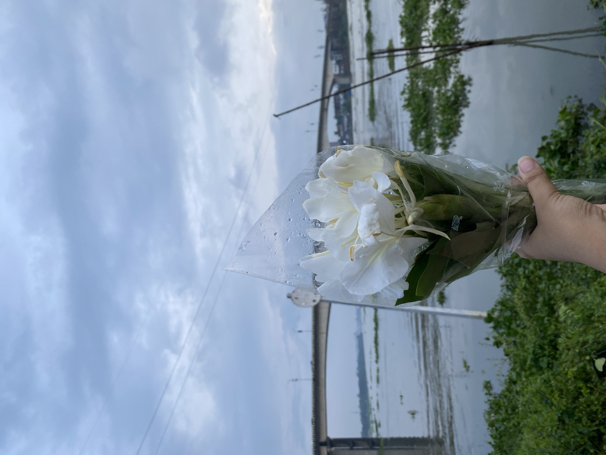 A hand holds a bouquet of white flowers wrapped in clear plastic. The flowers are in the foreground, slightly out of focus. Behind them, a wide river flows under a cloudy sky. A long bridge with multiple spans stretches across the river in the mid-ground, and power lines crisscross the sky above. Lush green vegetation lines the riverbank in the foreground, and a thin, dark pole rises vertically from the water on the right side of the image. The scene appears to be a waterfront area in Dhaka, Bangladesh, possibly near a bridge crossing the Buriganga River, a common location for such views within the city.