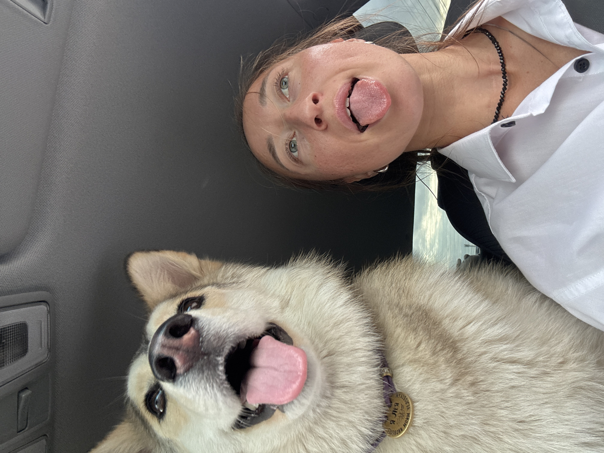 A low-angle, close-up, selfie-style photograph captures a woman and a dog in the interior of a vehicle. The woman, positioned on the right side of the frame, is looking upwards and to the right with her mouth open and tongue sticking out. She has light brown hair and is wearing a white collared shirt with black buttons and a black beaded necklace. The dog, likely a husky mix due to its coloring and fur, is to the left and closer to the camera, its face filling the left side of the frame. The dog has its mouth open with its tongue also sticking out. It is wearing a purple collar with a circular, gold-colored tag. The interior of the vehicle is visible, including the grey headliner and a portion of the dashboard. The background outside the vehicle appears to be a cloudy sky. The metadata for this image indicates it was taken in Chaikovsky, Russia.