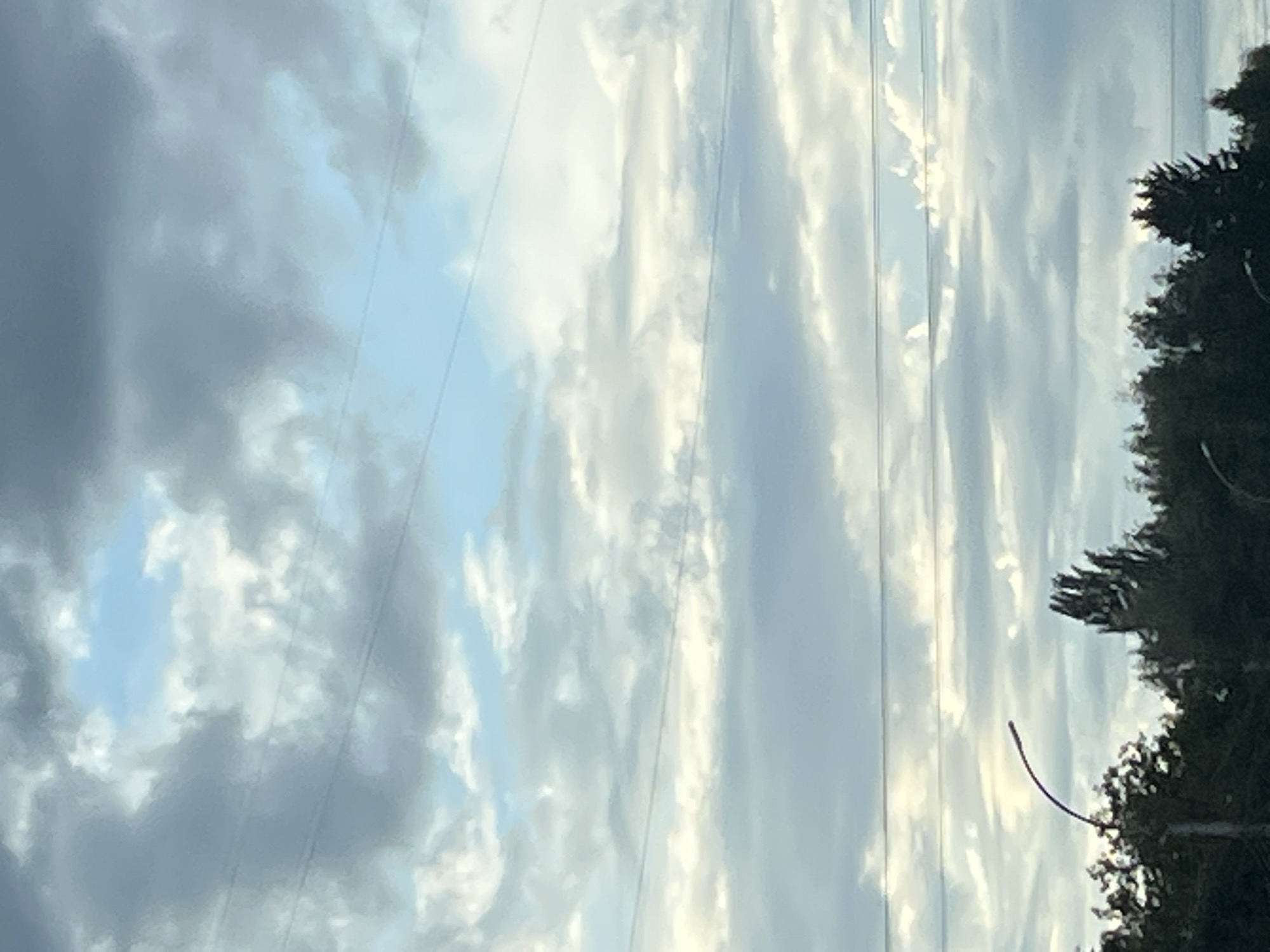 A low-angle, outdoor, full-frame, vertical medium shot captures a vast expanse of the sky, overcast with scattered clouds of varying density and color, ranging from light gray to darker, more opaque formations. Thin, dark horizontal lines, likely power lines, traverse the image at different heights, creating a layered effect against the sky. A sliver of bright blue sky is visible in the upper portion of the frame, suggesting a break in the clouds. The lower third of the image is dominated by the dark silhouettes of trees, forming a dense, uneven canopy. A solitary, curved lamppost extends from the lower left corner upwards and to the right, its top portion angled towards the sky. The overall impression is one of a partly cloudy day over a vegetated area, possibly on the outskirts of a city.
The image does not contain sufficient visual information to definitively determine its specific location within the city of Novosibirsk, Russia. However, the presence of trees and power lines suggests an urban or suburban environment.