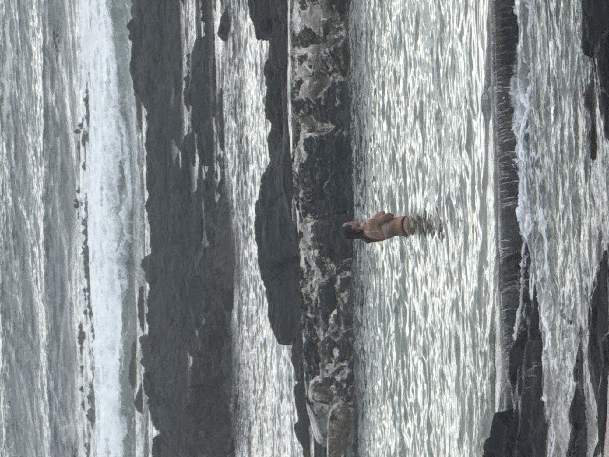 The image depicts a person floating on their stomach in the ocean, positioned between large, dark rocks. The water has a shimmering, reflective quality. The scene's location is not discernible from the image alone, preventing confirmation of it being in Cape Town, South Africa.