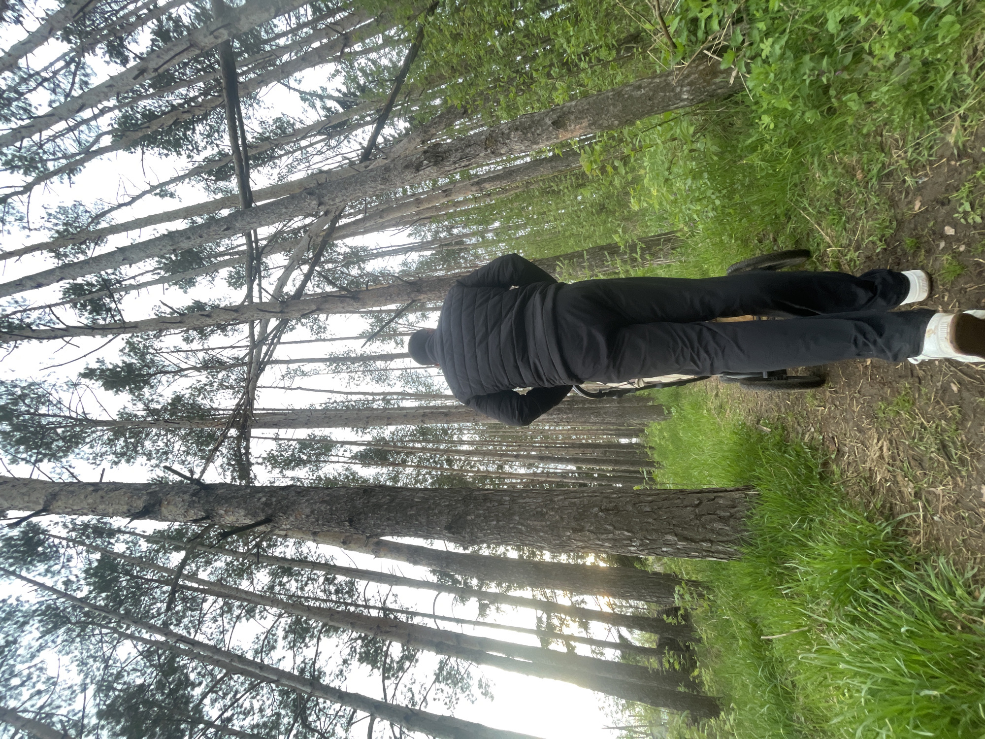 The photo shows a person standing on a path in a forest near Подшивалово, Russia. The person is facing away from the camera and is wearing a black jacket and pants and white shoes. The person is standing next to a bicycle. Tall trees line both sides of the path. Green grass and foliage are visible along the path. The lighting suggests either sunrise or sunset.