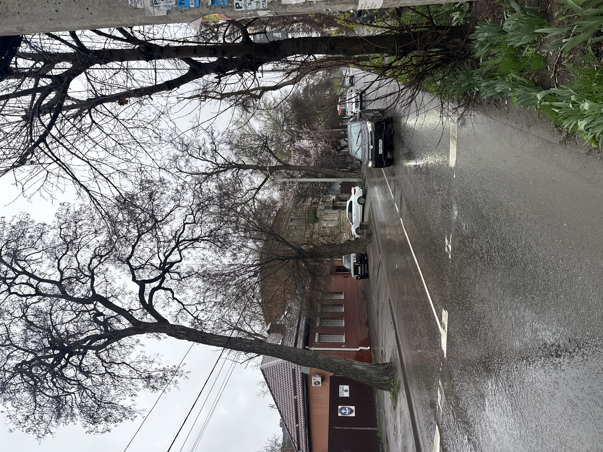 A rainy day on a street in Rostov-on-Don, Russia, shows a black Volkswagen driving along the wet asphalt road. The car has headlights on and a license plate partially visible, reading "H41kxM 161". The street has a white lane marker, and several parked cars are visible further down the road, including a white car. Buildings are on the right, one a red brick structure with a brown extension, and another in the distance is tan. Trees, mostly bare, line both sides of the street. There are green plants on the right. Above the street is a gray, overcast sky. In the lower left is a tree that appears to be growing at an angle, away from the building. A utility pole is visible in the top left corner.