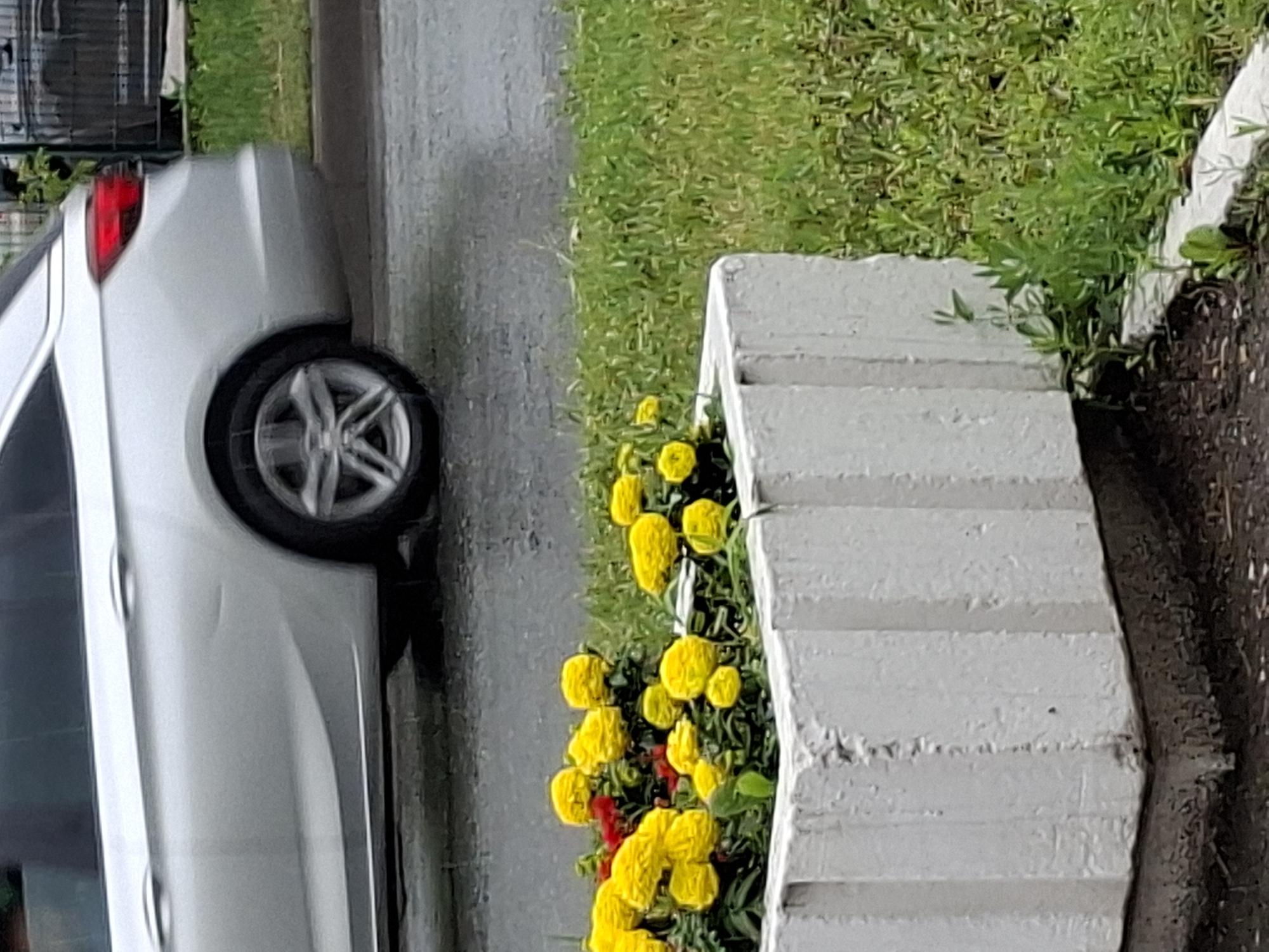 The image depicts a slightly overcast outdoor scene, likely a street or roadside, in Kazan, Russia. In the foreground, a white concrete planter box is filled with blooming yellow flowers and some red flowers. The planter box is situated on the ground, with dark soil visible at its base and some green grass and weeds growing around it and behind it. In the mid-ground and background, a silver car is parked or driving on a wet asphalt surface, suggesting recent rain or ongoing precipitation. The car is a hatchback with a visible rear wheel and taillight. The overall environment appears to be a residential or public area with some greenery.