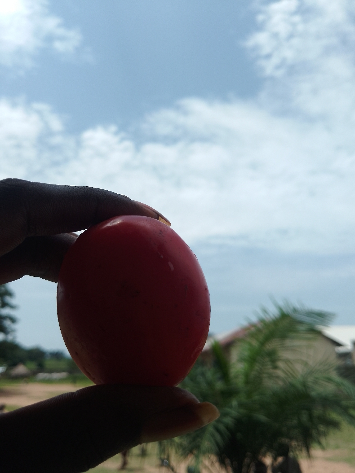 A close-up silhouette of a person's hand holds a single, red, round object, possibly a fruit or vegetable. The object is illuminated from behind, creating a halo effect. The background is blurred, showing a hazy sky with white clouds, and hints of green foliage and structures that suggest an outdoor setting. The overall scene has a bright, airy feel, possibly indicating a daytime setting. The person's skin tone appears dark, and their fingernails are visible and appear to be painted with a light color. The exact nature of the object being held is unclear due to the silhouette and focus, but its color and shape are the most prominent features.