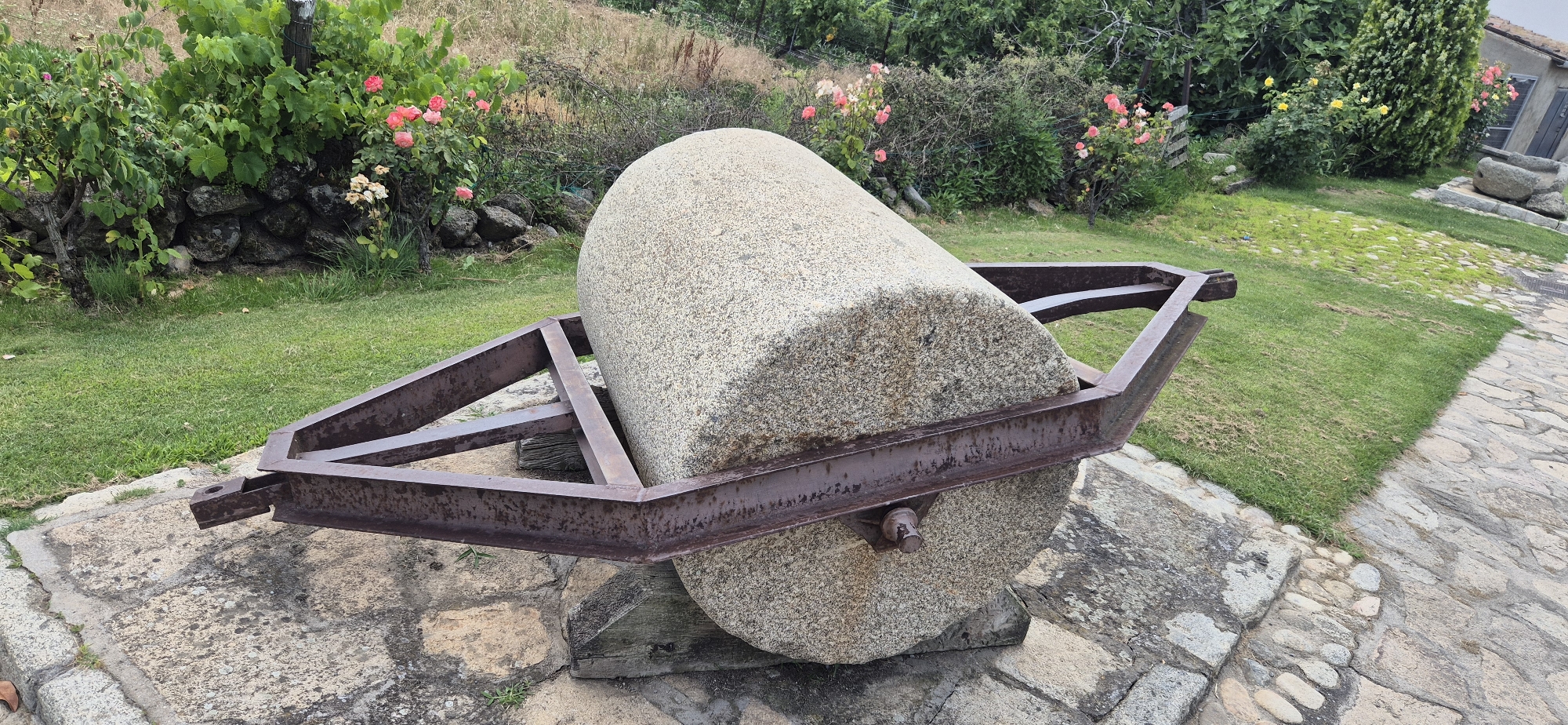 This is a medium shot, eye-level, outdoor photograph of a large, stone roller with a metal frame. The roller is round and made of speckled granite, resting on a stone base and some wooden planks. The metal frame is dark brown and triangular in shape, holding the roller in place.
The setting appears to be a garden or rural area. In the background, there is lush green grass, a stone wall, and an abundance of pink and white roses blooming on bushes. Further back, there are more green bushes and trees, and a small, rustic building with a wooden door and windows is visible on the right side of the frame. The ground is partially paved with irregular stones, and a patch of vibrant green grass is to the left of the paved area.
The scene suggests a quiet, possibly historical or agricultural, setting. The time of day appears to be daytime, with soft lighting. The weather seems pleasant, as indicated by the blooming flowers and green foliage. There are no people visible in the image, and the overall mood is peaceful and still. No text is visible in the image.