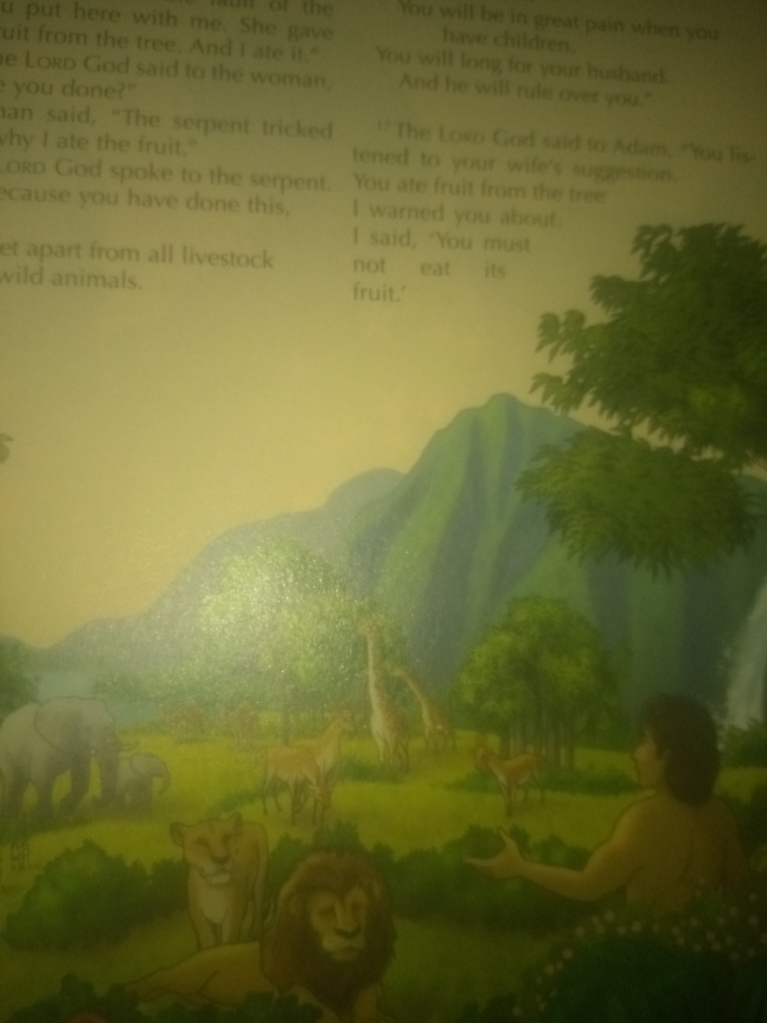 The image is a painting depicting a scene from the Book of Genesis. On the left side of the painting, there is text that reads: "U put here with me. She gave\nfruit from the tree. And I ate it.\ne Lord God said to the woman,\ne you done?" Below this, more text continues: "man said, "The serpent tricked\nwhy I ate the fruit."\nLord God spoke to the serpent.\necause you have done this,\net apart from all livestock\nwild animals."
The right side of the painting shows a landscape with rolling green hills and trees. In the foreground, there are several animals, including two elephants, a lion, and a lioness. Further in the background, there are giraffes and other deer-like animals. A man, presumably Adam, is depicted in the right foreground, facing away from the viewer, with his hand outstretched. The overall scene is serene and idyllic, illustrating a biblical narrative with a focus on nature and early human history.
The location of Jauro Yinu, Nigeria, is not depicted in this image.