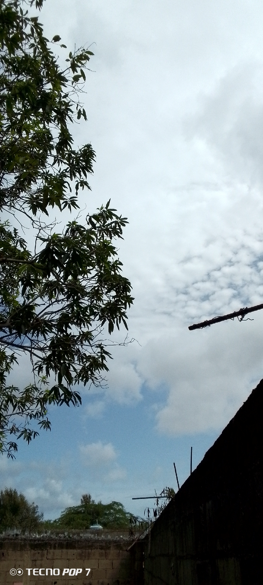 The image depicts an outdoor scene with a cloudy sky. In the foreground, a portion of a dark roofline is visible on the right, meeting a brick wall below. A thin horizontal pole with some hanging elements extends from the right side of the frame towards the center. To the left, a tree with dark green leaves branches into the sky. The middle ground shows a low wall topped with pointed objects, and further back, dense green trees are visible under the sky. The sky itself is a mix of blue and white clouds, with some areas of brighter white suggesting sunlight breaking through. The bottom left corner of the image contains a watermark that reads "TECNO POP 7". The scene appears to be an exterior view, possibly from a residential or urban area, under a partly cloudy sky. There are no people or animals visible in the image, and no specific actions or interactions are occurring. The location in Altagracia, Venezuela, is not visually indicated by any landmarks or specific elements within the image itself.