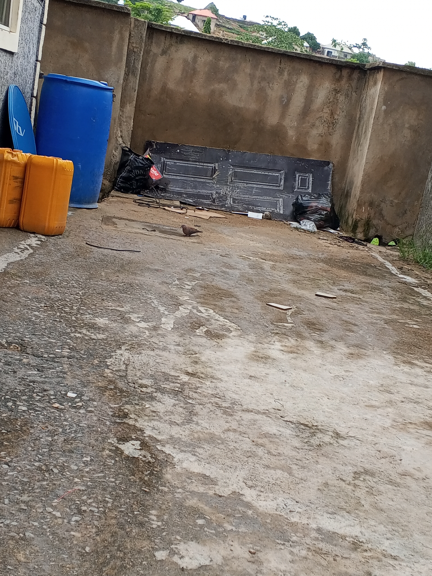 The image depicts an outdoor scene in Ashata, Nigeria. In the foreground, a gray, speckled asphalt surface is visible, with patches of lighter, wet-looking concrete. A small bird, possibly a dove, stands on the ground in the middle ground. To the left, two bright orange plastic containers are stacked, and a large blue barrel stands next to them. Behind these containers is a textured, beige-colored concrete wall that extends across the background. Leaning against this wall is a dark-colored, paneled door. Near the door, a black trash bag is visible, along with some scattered debris on the ground. Beyond the wall, lush green vegetation and rooftops of houses are visible on a hillside. The lighting suggests it is daytime, with overcast conditions.