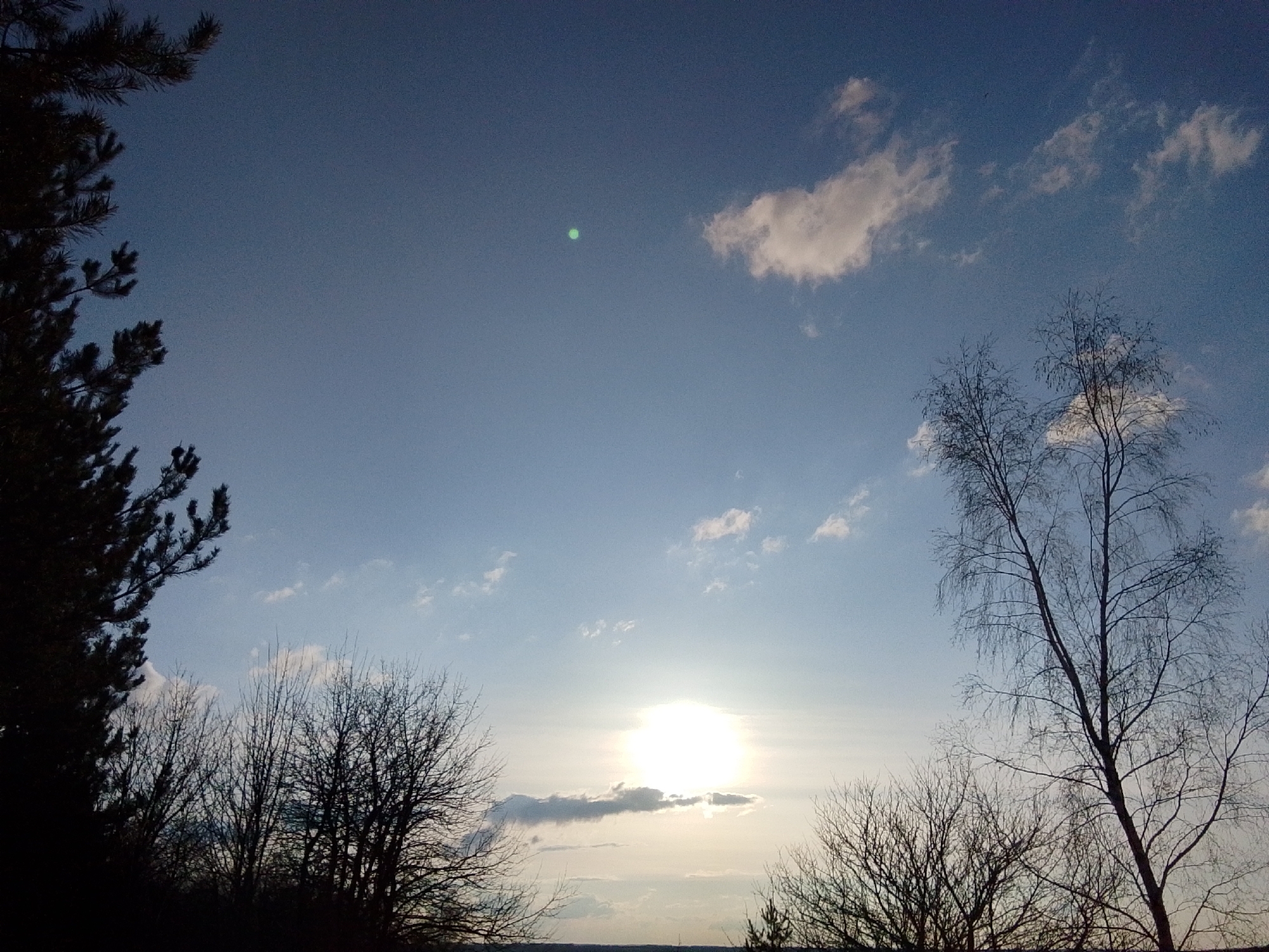 This image captures a serene outdoor landscape, likely in a rural or forested area, set against a vast sky. The scene is dominated by natural elements, with no people visible.
The sky, transitioning from a light, hazy blue near the horizon to a deeper blue overhead, is dotted with several wispy, white cumulus clouds. A brilliant, intensely bright sun is positioned in the lower-middle of the frame, casting a strong glow and partially obscured by a thin, elongated cloud. This strong light source creates a silhouette effect for the foreground elements. Notably, a distinct circular green lens flare is visible in the upper-left portion of the sky, an artifact of the sun's brightness.
The foreground and sides of the image are framed by a variety of trees, all silhouetted in dark tones against the lighter sky. On the far left, a dense evergreen, likely a pine, extends into the frame from the top and side with its characteristic needle-covered branches. On the right, a tall, slender deciduous tree, possibly a birch, stands prominent with its delicate, intricate network of bare branches reaching upwards. More bare trees and shrubs form a dark, dense band across the lower section of the image, contributing to the silhouetted effect.
The scene depicts either a sunrise or sunset, given the low position and intense brightness of the sun. The bare branches of the deciduous trees suggest the season is either winter or early spring before foliage has appeared. The weather appears clear and sunny. This tranquil, natural landscape is consistent with the geographical context of Khlevnoye, Russia. There is no visible text in the image.