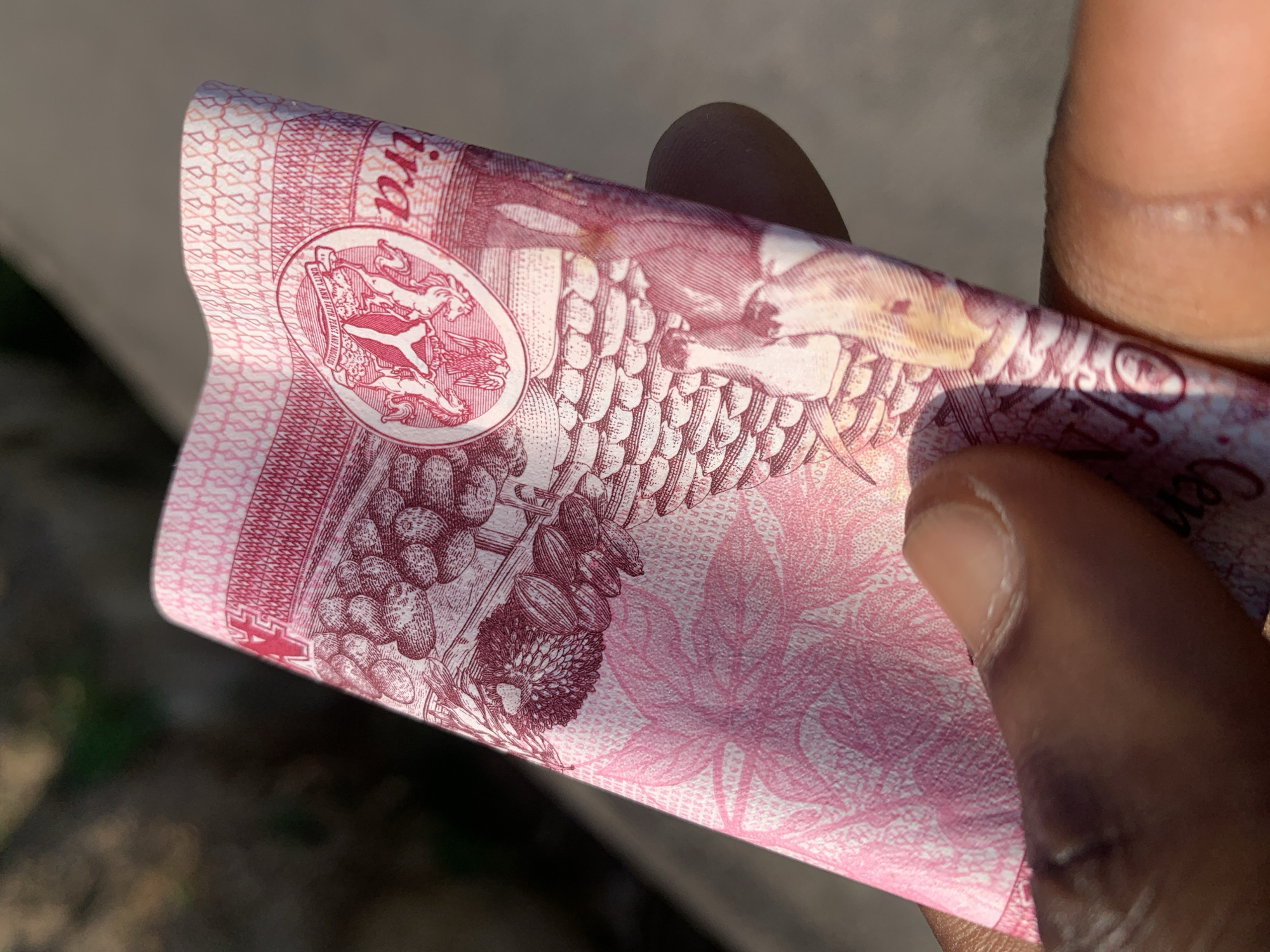 A hand holds a folded Nigerian 1000 Naira banknote. The bill is predominantly pink, featuring the Coat of Arms of Nigeria, images of agricultural products, and part of an elephant. The setting appears to be outdoors, given the natural light. The background is blurred, but suggests an urban area, possibly Adankolo, Nigeria.
