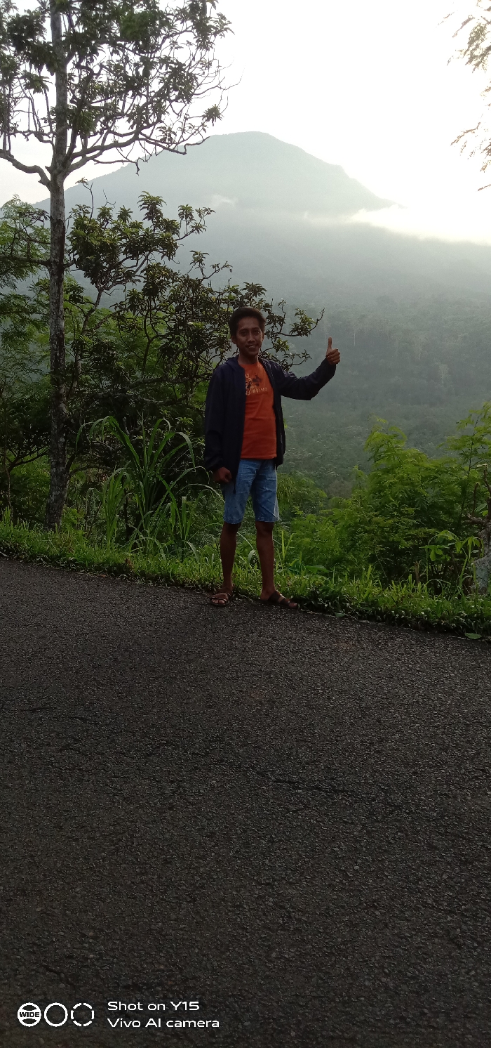 The image displays a young adult male standing on the left side of an asphalt road in Ranuagung, Indonesia. The individual, appearing to be of Southeast Asian descent, faces slightly to the right of the camera, turning his head to look directly forward and smiling. He is dressed in an orange short-sleeved t-shirt, blue denim shorts, and a dark blue long-sleeved jacket worn unzipped. Brown slip-on sandals are visible on his feet. His right arm is bent, and his hand is raised, forming a "thumbs-up" gesture.
The asphalt road, dark grey and textured, occupies the lower half of the frame. Immediately behind the subject and bordering the road is a narrow strip of green grass and various plants, including tall, reedy vegetation and leafy shrubs. A prominent tree with a light-colored trunk and sparse foliage stands to the left of the subject. The background features a vast, mountainous landscape covered in dense green forest, receding into a bright, hazy sky which suggests either fog or atmospheric conditions interacting with sunlight. The scene is consistent with an elevated, rural, or semi-rural mountainous environment.