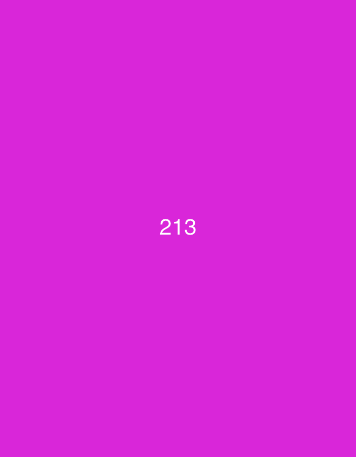 The image displays the number "213" in white text centered on a plain bright pink background. There are no other discernible elements in the image, such as people, objects, or environmental features. The location of this image within the city of Đà Nẵng, Vietnam, cannot be determined from the visual information provided.