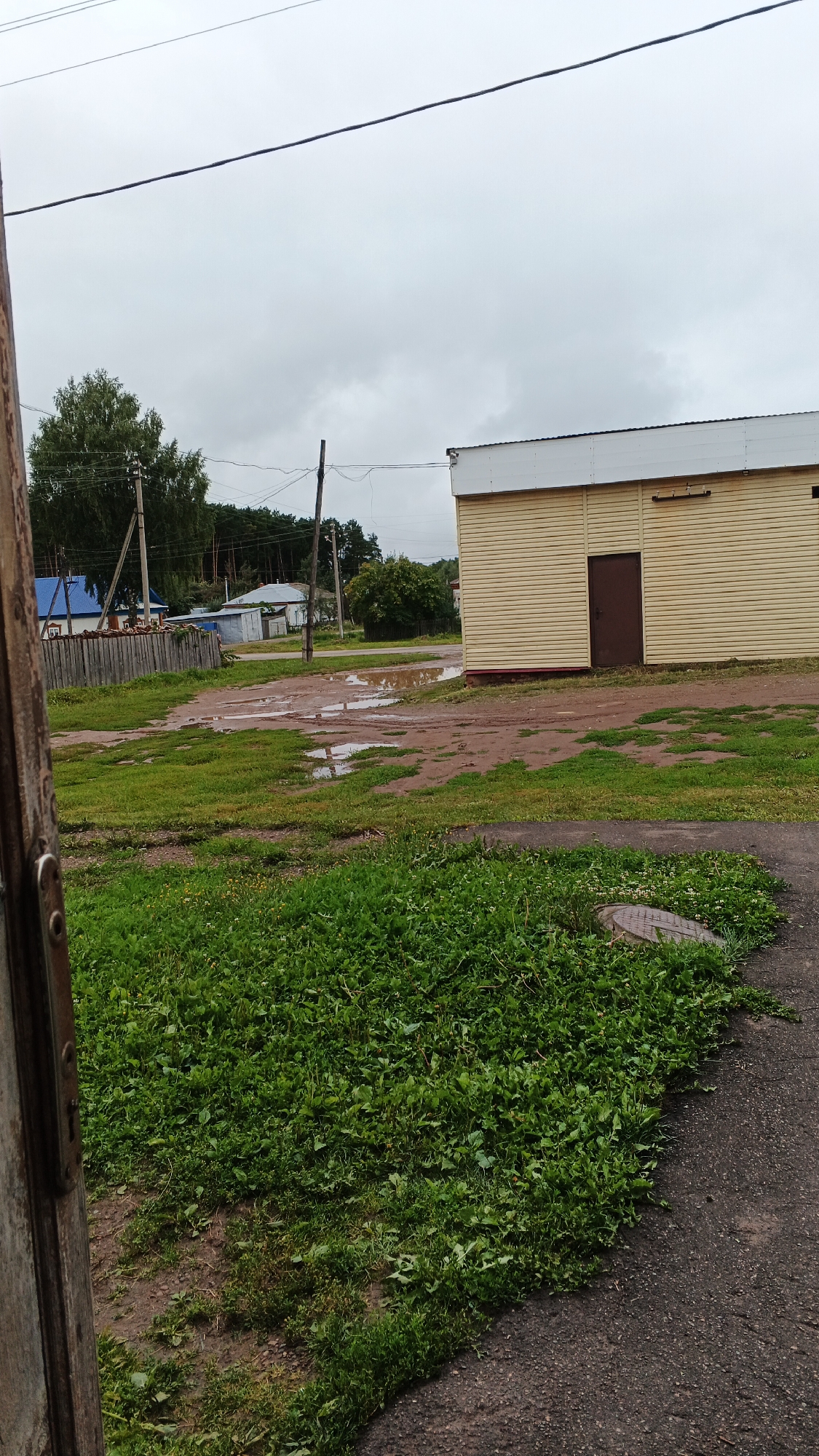 The image shows a rural outdoor scene in Podgornoye, Russia, under an overcast sky. In the foreground, a patch of overgrown green grass is visible on the right, with a circular manhole cover partially obscured by the foliage. To the left, a wooden structure, possibly a door or fence, frames the scene. The middle ground features a muddy area with several large puddles of water, indicating recent rainfall. Beyond the puddles, a wooden fence runs horizontally, separating the muddy area from a grassy field with scattered green plants and some bare earth. A light yellow building with a brown door and a white roof is situated on the right side of the image. In the background, several houses with blue and white roofs are visible, along with trees and utility poles with electrical wires stretching across the sky. The overall environment appears to be a residential or semi-rural area.