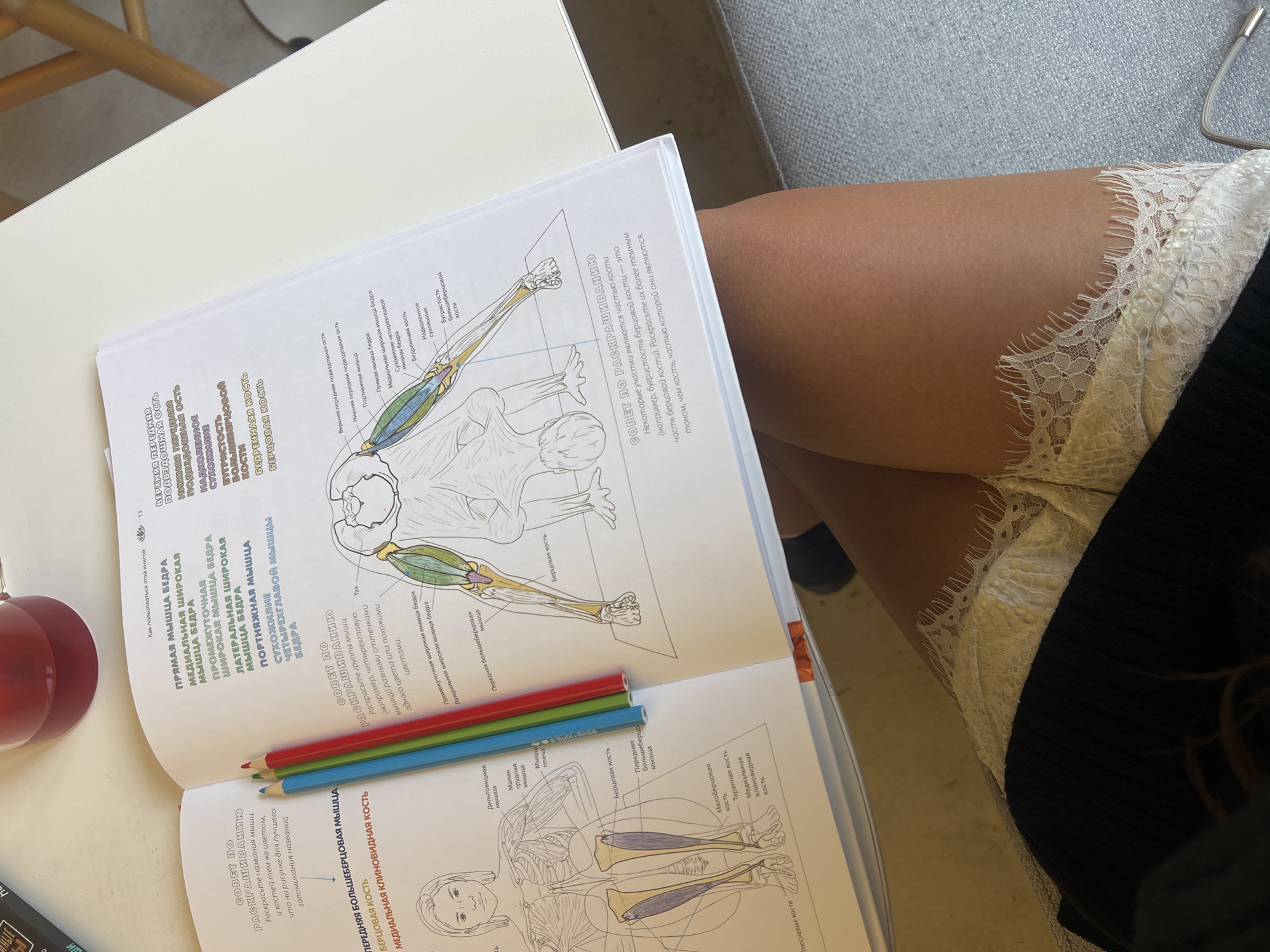 The image shows an open anatomy coloring book with three colored pencils resting on it. The book illustrates the muscles and bones of the human leg and arm, with some sections already colored. A woman's leg is visible next to the book, wearing white lace shorts and a black garment. The scene is set on a light-colored table, likely indoors. The location is not discernable from the image.