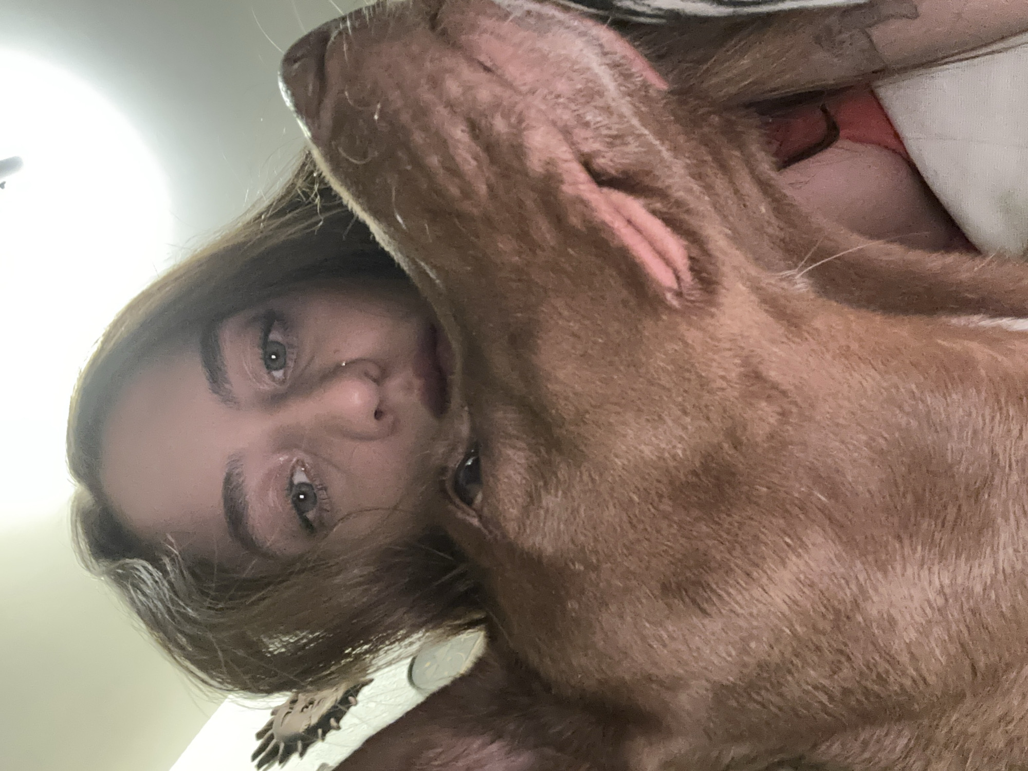 A selfie taken from a low angle shows a fair-skinned woman with long brown hair and green eyes, a nose ring, and light makeup looking directly at the camera. A large brown dog with short fur is positioned closely beside her face, partially obscuring her. The background is blurry but appears to be an indoor setting, likely a bedroom or living room, with a white pillow and what looks like the edge of a patterned bedspread visible. There is no information in the image to place it in Naucalpan de Juárez, Mexico, or any other location.