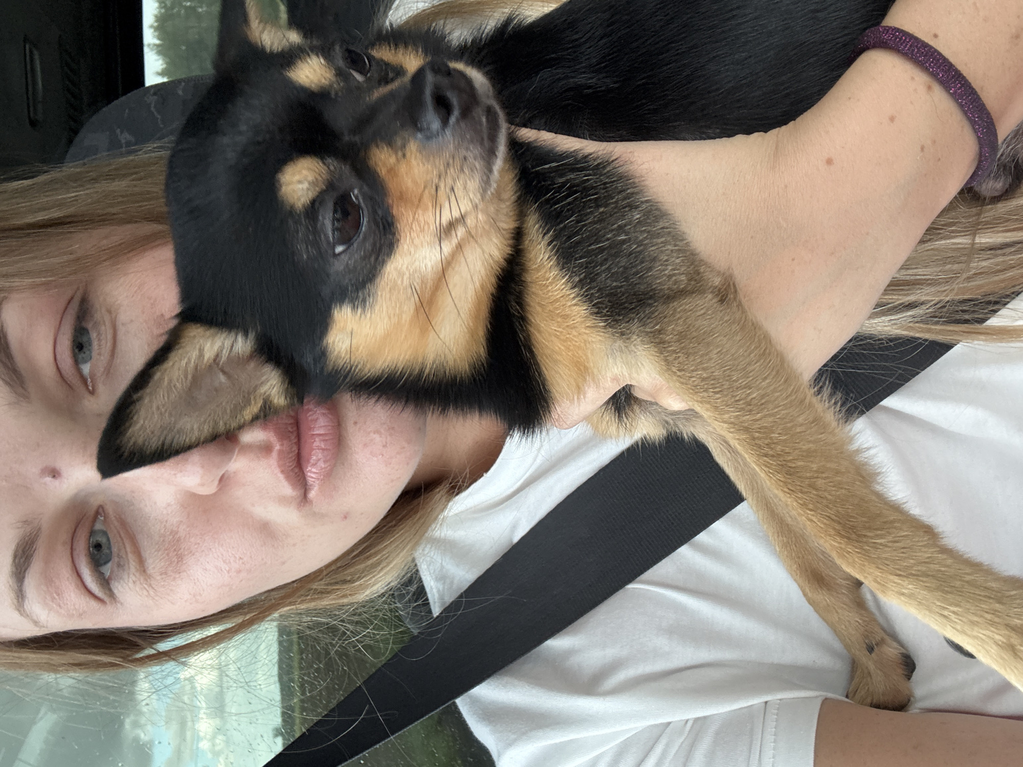 A close-up, medium shot captures a blonde woman holding a small black and tan Chihuahua dog in her arms. The woman is wearing a white t-shirt and a seatbelt is visible across her chest. Her lips are pursed, and her face is partially obscured by the dog. The dog is looking to the right of the frame, with its head resting on the woman's arm. The background appears to be a car interior, with a window showing a blurred landscape of trees and sky, suggesting the vehicle is in motion. The scene is illuminated by natural light. The location is identified as Novyi Buzets, Russia.