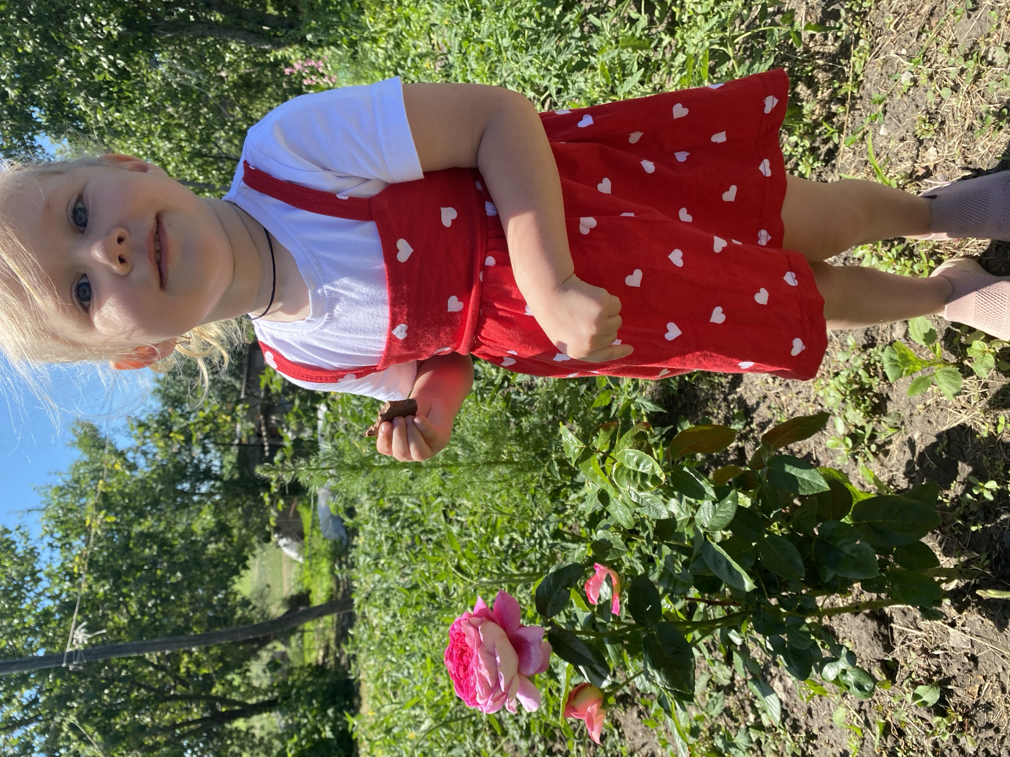 In an outdoor setting, likely a garden in the city of Mariupol, Ukraine, a young girl stands partially in profile, facing the camera. She has blonde hair and blue eyes and is wearing a white t-shirt under a red dress adorned with small white hearts. Her left hand is raised, holding a small, dark object, possibly a piece of food. To her left, a rose bush displays a large, pink and white rose in bloom, with two smaller pink buds below it. The background consists of lush green foliage, trees, and a bright blue sky. The ground appears to be dry soil with some scattered green plants. The overall lighting suggests a sunny day.