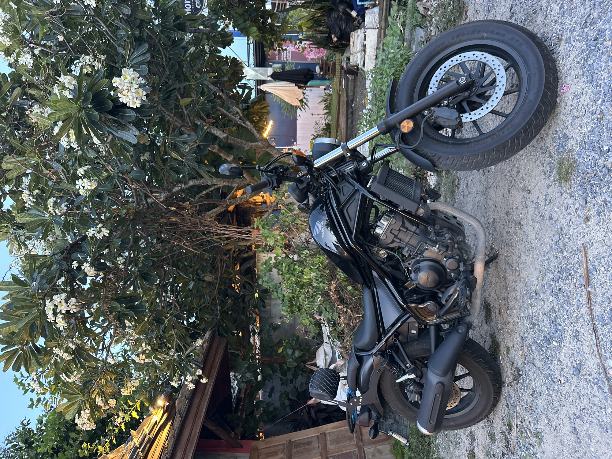 A black Honda motorcycle is parked on a gravel surface in front of a building. The motorcycle is positioned at an angle, with its front wheel facing the viewer's left. The building behind the motorcycle appears to be a shop or restaurant with a wooden roof and some decorative lights. A tree with white flowers is in bloom above and behind the motorcycle. The environment suggests a tropical setting, likely in Baan Thong Po, Thailand, given the architecture and foliage. The sky is a clear blue. There are no people visible in the image.
