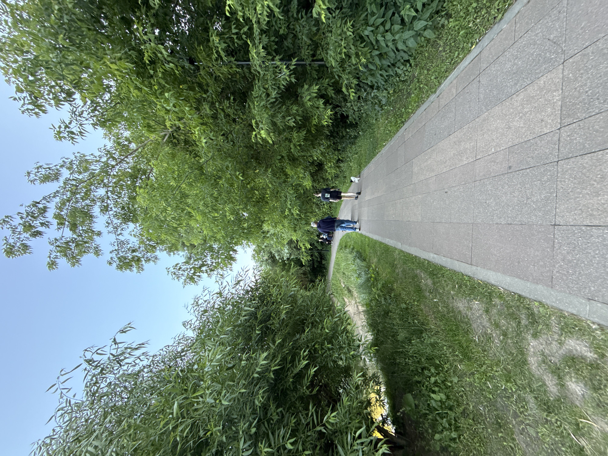 The image depicts a pathway with two people walking away from the camera, in a park-like setting with abundant greenery and trees. The pathway is paved with large, rectangular gray stones. To the left of the pathway, there is a stretch of green grass and dense foliage, with more trees and branches forming a canopy overhead. To the right of the pathway, the grass is also visible, with some patches of bare earth. The sky is clear and blue, suggesting a pleasant day. The overall scene conveys a sense of a leisurely walk in a natural environment. The time of day appears to be daytime, likely late afternoon or early evening due to the quality of light and shadows. There is no visible text in the image. The subjects are two individuals, one in a dark top and shorts, and another in a blue jacket and jeans. Their postures suggest they are walking at a relaxed pace.