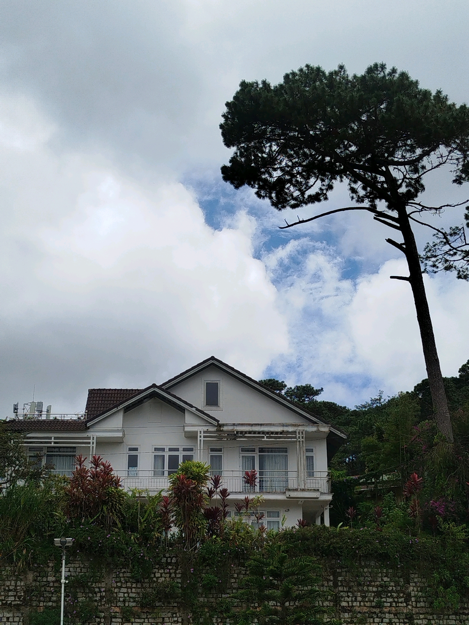 This is a medium-shot, eye-level photograph of a two-story white house with a dark tiled roof, located on a hillside in Da Lat, Vietnam. The house features several windows and balconies on both levels. In the foreground, a textured brick wall is covered in lush green and red foliage, with a lamppost positioned on the left side. A tall pine tree with dark green needles dominates the right side of the frame, its branches extending towards a cloudy sky with patches of blue. The background reveals a densely wooded hillside. The scene appears to be set in a residential area, likely a hillside neighborhood of Da Lat, characterized by its abundant greenery and cooler climate. There are no people or animals visible in the image.