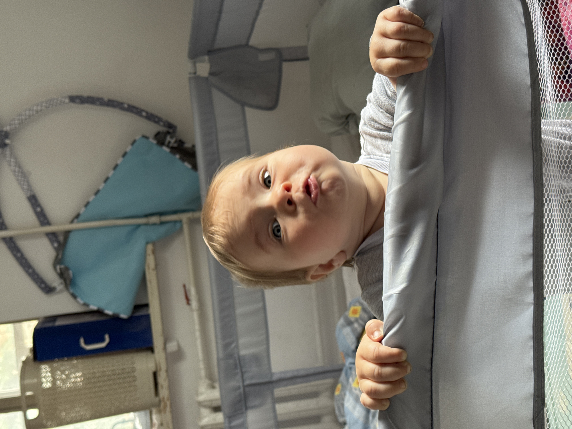 The media file is a close-up, vertically oriented photograph of a young child, likely a toddler, peeking over the edge of a playpen. The child has blonde hair, blue eyes, and is making a puckered expression with their lips. They are wearing a grey long-sleeved shirt. The child's hands are gripping the grey fabric of the playpen.
The playpen is made of grey fabric and mesh. In the background, other items are visible, including a blue box with a white handle, a cream-colored grated object that appears to be an air filter or heater, and a blue and white patterned blanket. The overall setting seems to be indoors, possibly a nursery or playroom, with bright lighting.
The activity taking place is the child looking curiously towards the camera. The child's expression suggests a playful or inquisitive mood. There are no visible signs of time of day or weather conditions. The location context is given as Rusalevka, Russia, but there are no specific visual cues in the image to confirm this. No visible text is present in the image.