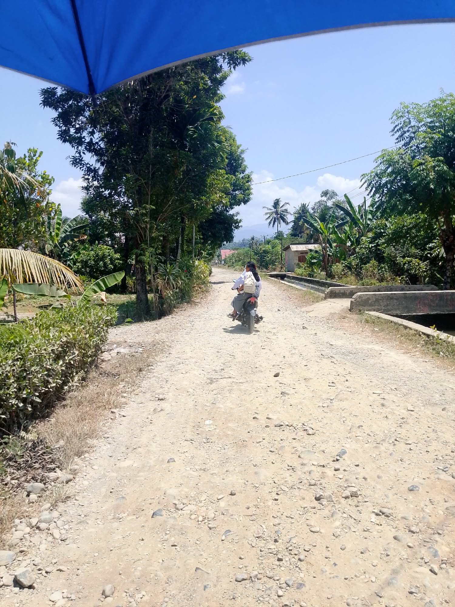 In To'pongo, Indonesia, a dirt road with scattered stones and vegetation runs between agricultural fields and trees under a clear blue sky. A person on a motorcycle, wearing a white shirt and dark pants, rides away from the camera on the right side of the road. A blue canopy is visible in the upper left corner of the frame. The scene depicts a rural landscape with a residential structure and a bridge crossing a water channel in the background.