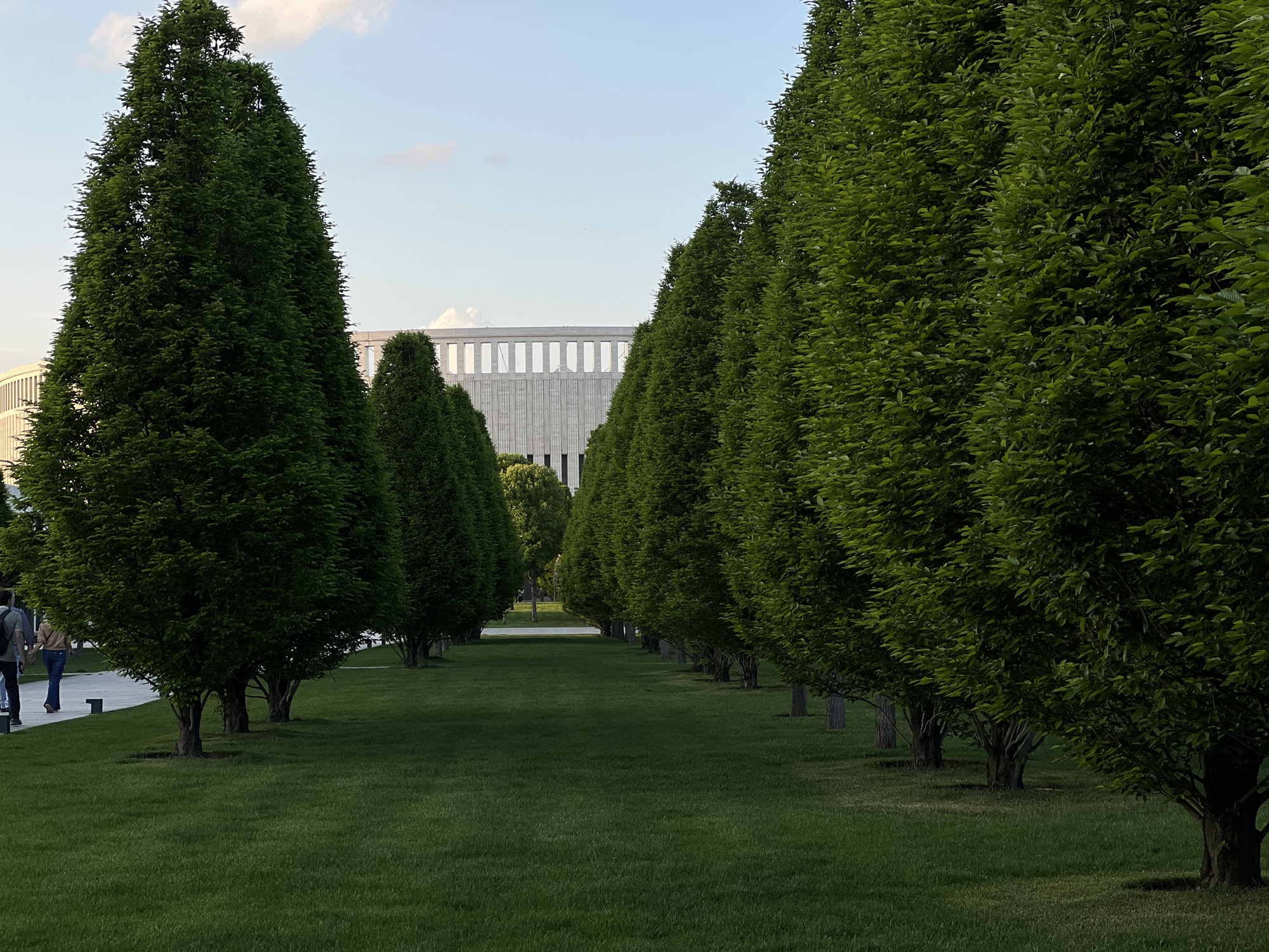 The image depicts a park landscape in Krasnodar, Russia. A long, grassy path stretches into the distance, lined on both sides by rows of tall, cone-shaped trees with dense green foliage. In the background, a large, modern building with a horizontal, colonnade-like facade is visible. Two people are walking on a path to the left of the main grassy path, suggesting a pedestrian area. The sky is light blue with scattered clouds. The lighting indicates it is daytime, likely late afternoon or early evening. The scene has a well-maintained, orderly appearance.
