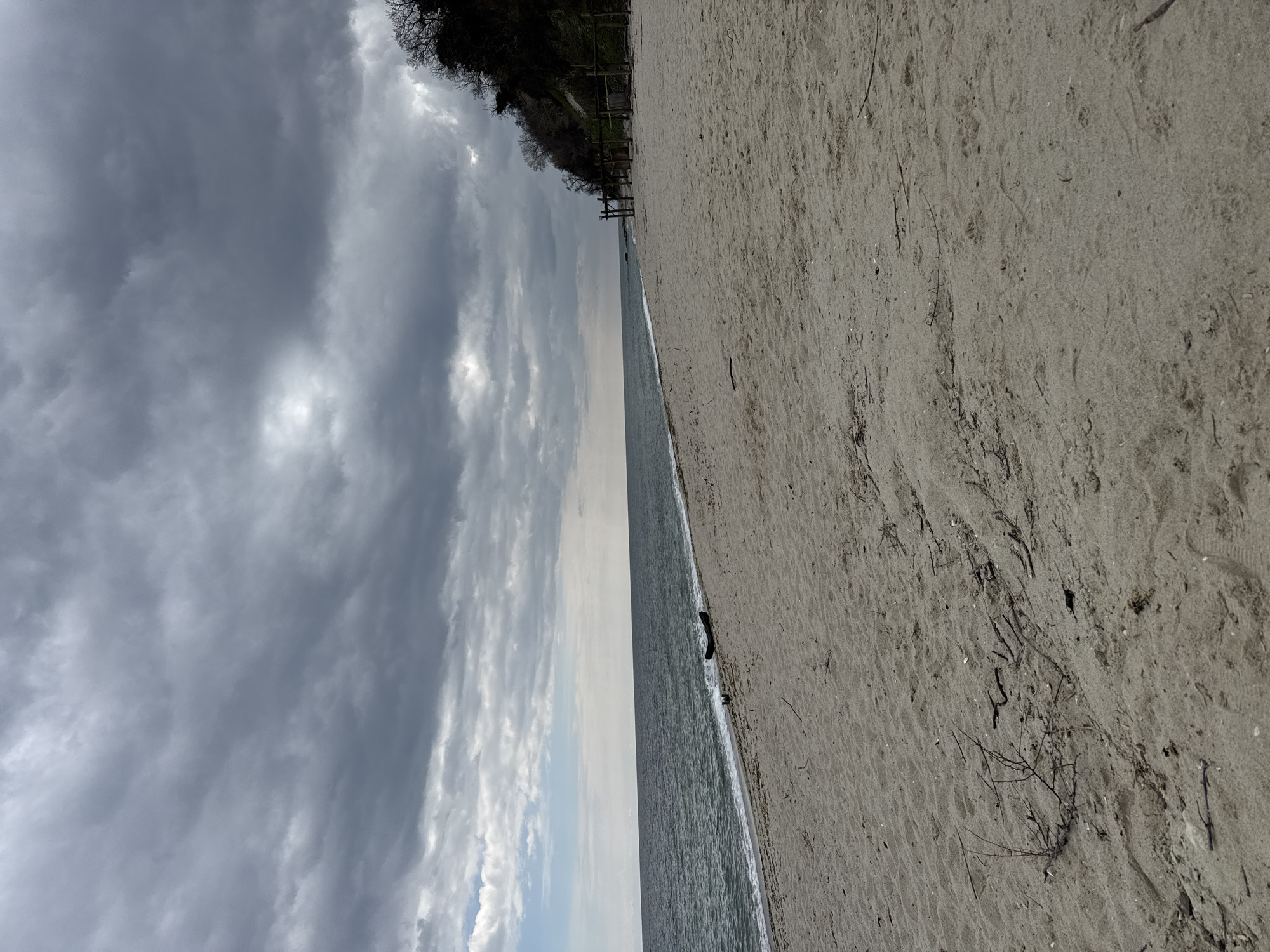 The image shows a beach in Varna, Bulgaria, under a cloudy sky. The sand is light gray and textured with debris and small branches. The sea is a muted gray-blue with a small wave line near the shore. A vegetated cliff or hill runs along part of the left side. The composition is from ground level facing the sea.