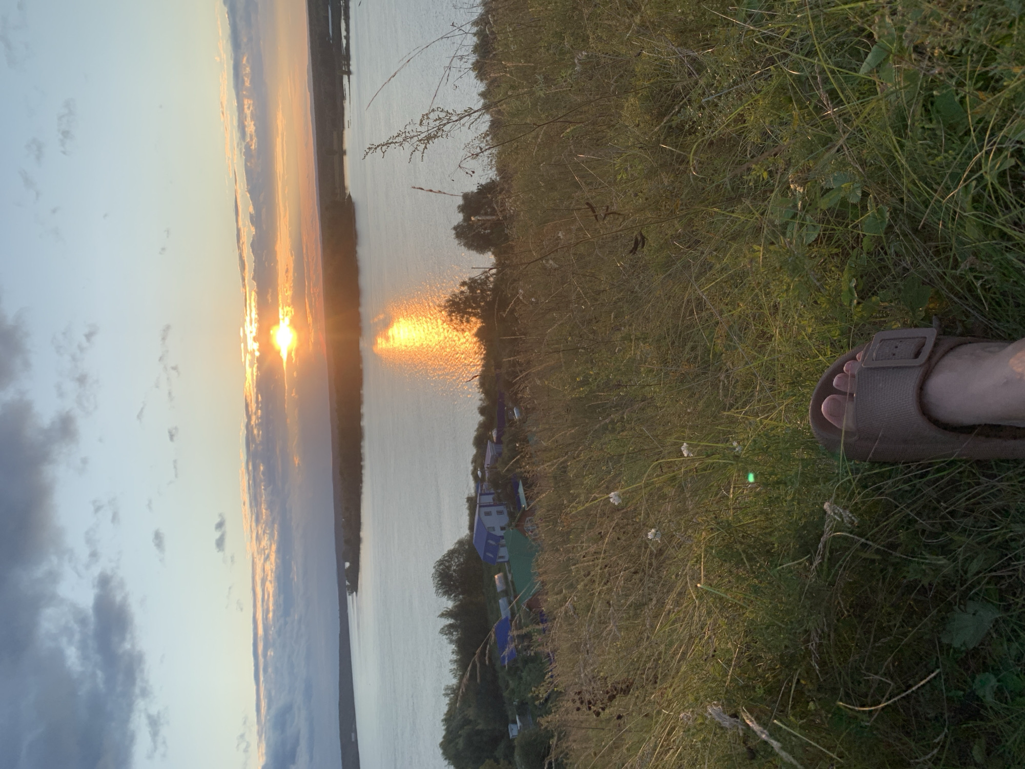 The image captures a serene sunset scene over a wide river, likely the Surskoye Reservoir, near the village of Olkhovka, Russia. The foreground is dominated by tall, dry grass, indicating a late summer or early autumn setting. A person's foot, wearing a brown sandal, is visible in the bottom right corner, suggesting a relaxed, personal perspective of the view.
In the mid-ground, a small cluster of houses with distinctive blue and green roofs is nestled amongst lush green trees. Beyond the houses, the expansive river reflects the warm hues of the setting sun, creating a shimmering golden pathway across its surface. The horizon is marked by a distant treeline, softly blurred by the atmospheric conditions of the sunset.
The sky above is a canvas of changing colors. The sun, a bright orb, is partially obscured by wispy clouds, casting rays of light that paint the sky in shades of orange, pink, and soft blue. The clouds themselves are a mix of dark, dramatic formations and lighter, more diffused patches, adding depth and texture to the sky. The overall impression is one of tranquility and natural beauty.