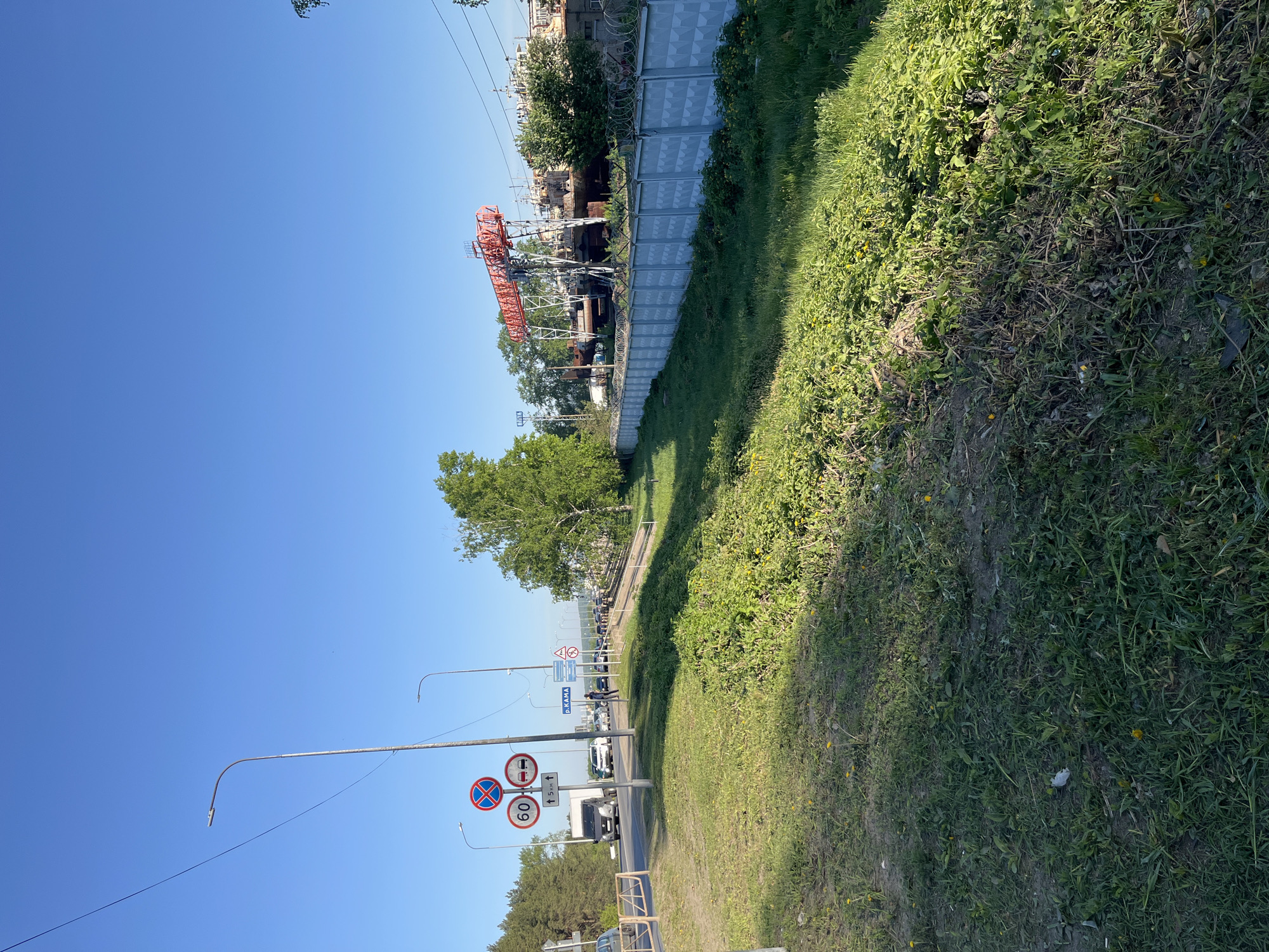 The image depicts a street scene in Chaikovsky, Russia, on a sunny day. The view is directed down a road, alongside which a grassy verge runs parallel. The vegetation on the verge is thick and appears somewhat unkempt. Several utility poles with street lights and traffic signs are visible along the road's edge. The traffic signs indicate a speed limit of 60 and prohibit stopping. In the distance, a large, red crane-like structure is situated behind a fence and some trees. Cars and other vehicles are driving on the road. The sky is clear and blue.