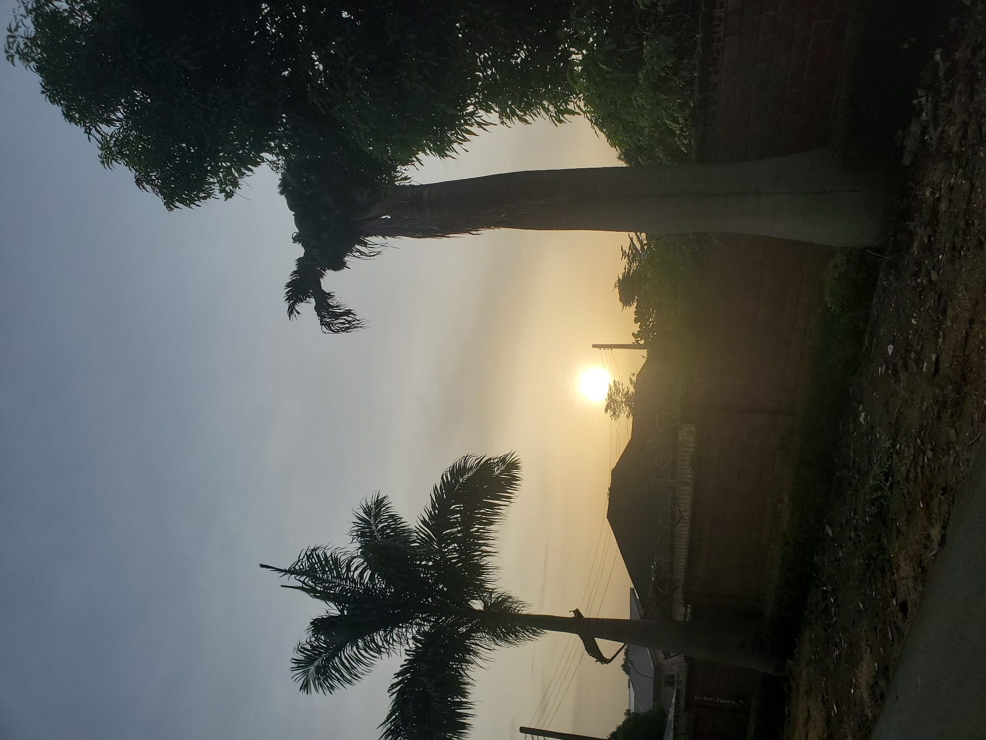 This image captures a serene sunset scene in Jos, Nigeria, with the sun low on the horizon, casting a warm, golden glow. Two prominent palm trees stand silhouetted against the sky, one on the left with a fuller canopy and the other on the right, taller and more slender, with a sparser, drooping top. In the middle ground, a low, brick wall runs horizontally, topped with barbed wire, suggesting a property boundary. Beyond the wall, the roofs of houses are visible, their dark shapes contrasting with the bright sky. The foreground shows a rough, unpaved ground with dry vegetation and scattered debris, bordering what appears to be a paved road on the far left. The overall atmosphere is tranquil, depicting a typical evening in a residential area of Jos.