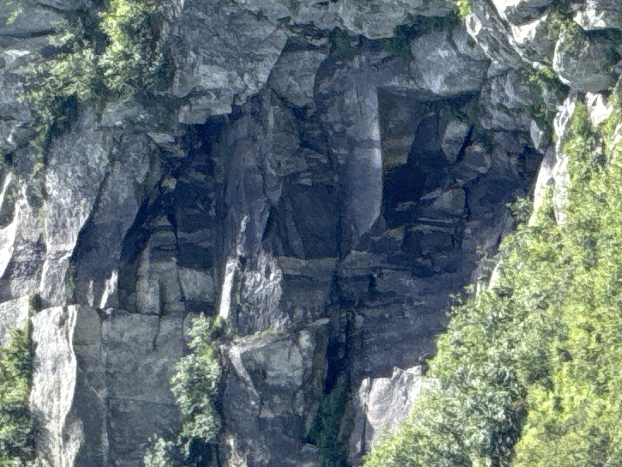 The image shows a close-up view of a rocky cliff face with patches of green vegetation. The rocks are a mix of grey and dark tones, with visible layers and crevices. The vegetation consists of dense green bushes and some smaller plants growing in and around the rocks. The lighting suggests it is daytime, with shadows indicating the presence of sunlight. The scene appears to be a natural landscape, likely a mountainous or hilly area. There are no people, animals, or man-made structures visible in the image. The detail is such that it might be a photograph taken with a zoom lens. The scene depicts a rugged, natural environment.