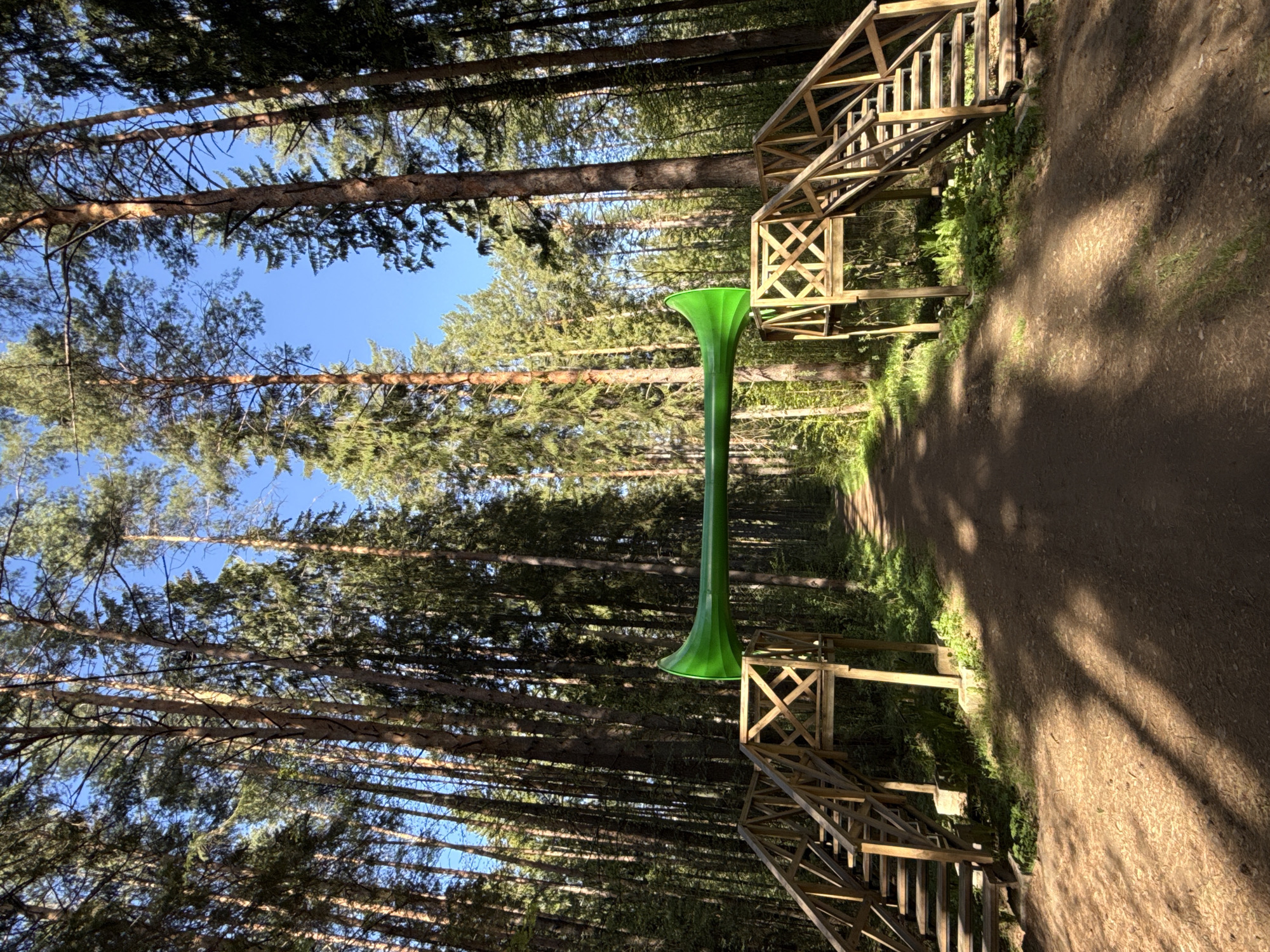 A photograph depicts a dirt path bordered by tall, straight trees in a forest-like setting, most likely in Votkinsk, Russia. The scene is intersected by a wooden structure resembling a staircase or elevated walkway, appearing on both sides of the path. A tall, green, trumpet-shaped object stands prominently in the center of the path, possibly a sculpture or art installation. The sky is visible through the treetops, indicating a clear day.
